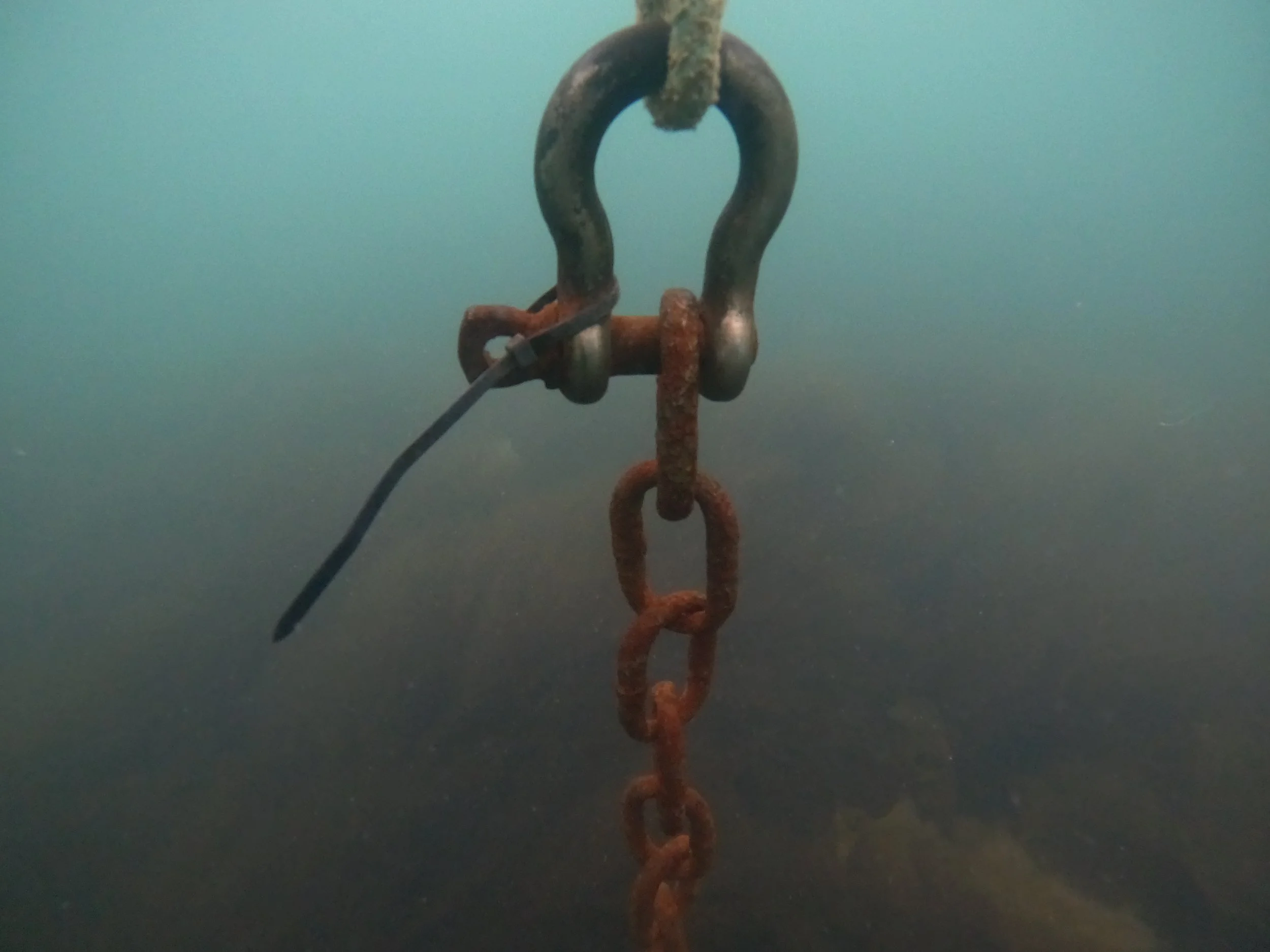 Mooring Inspection