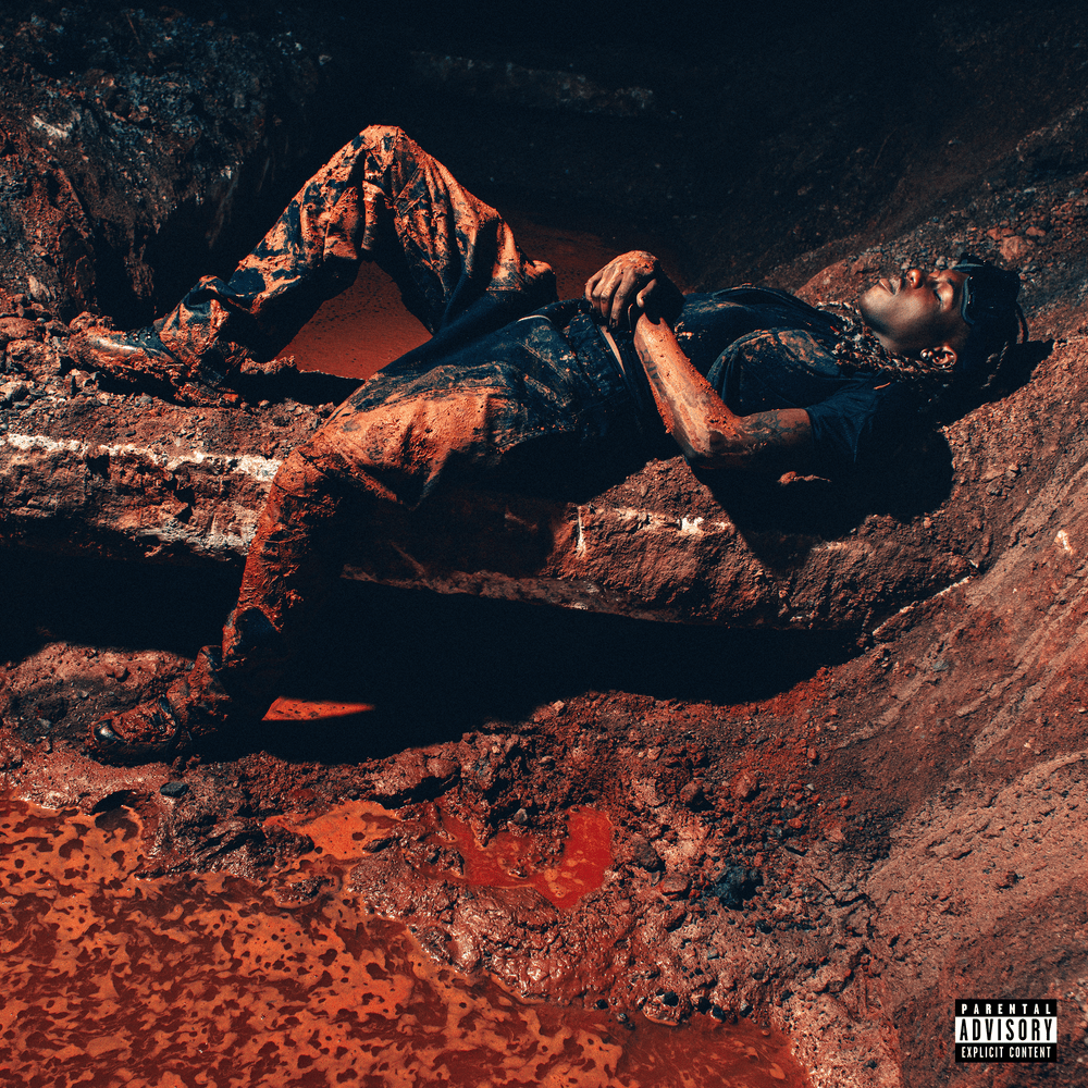 Destroy Lonely Album Cover