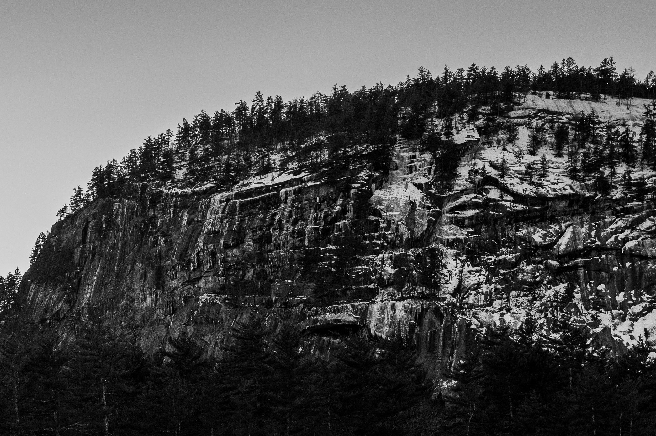 Snow-covered evergreens line a rocky cliff beneath a clear sky.