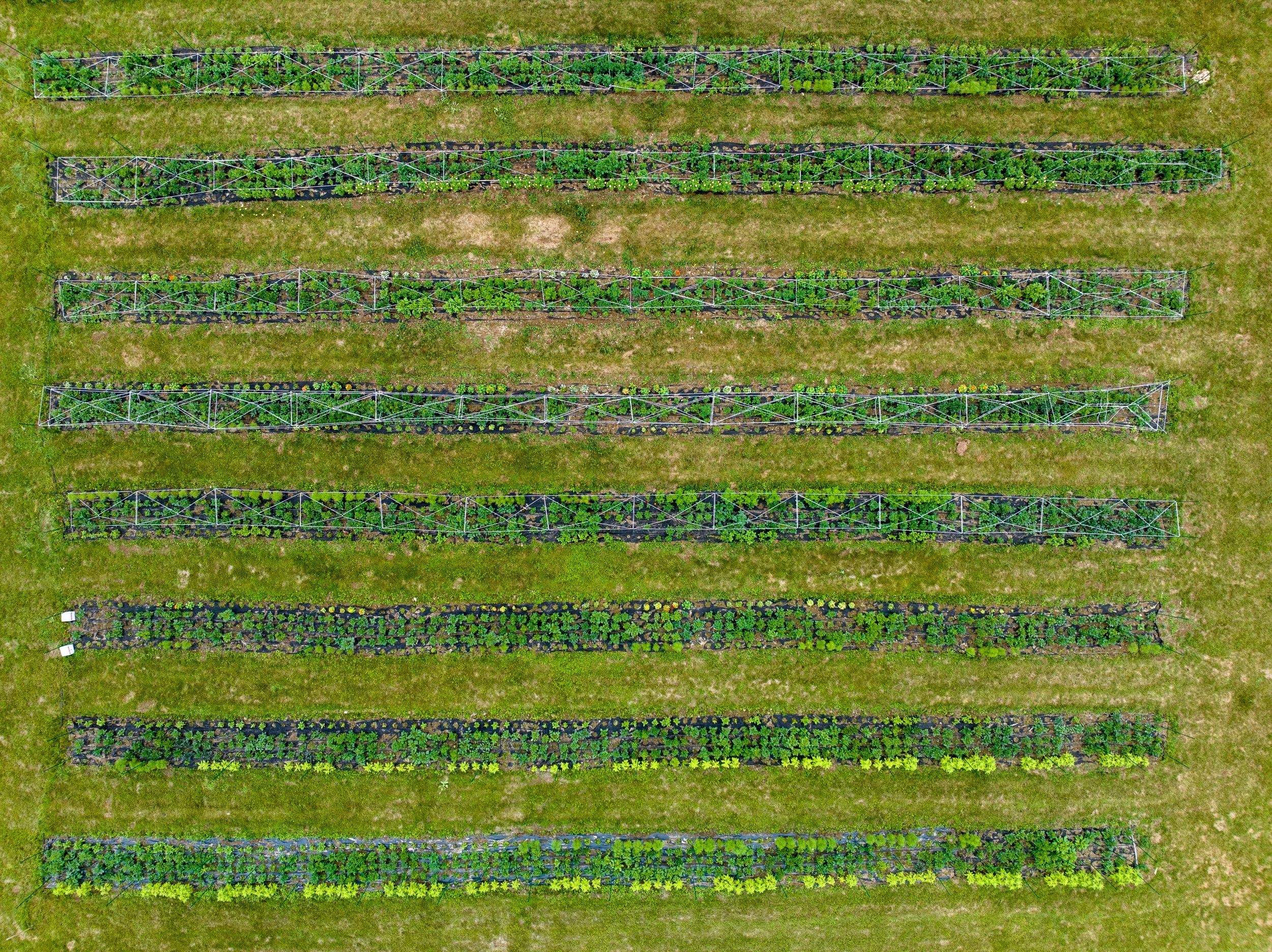 Drone Photography