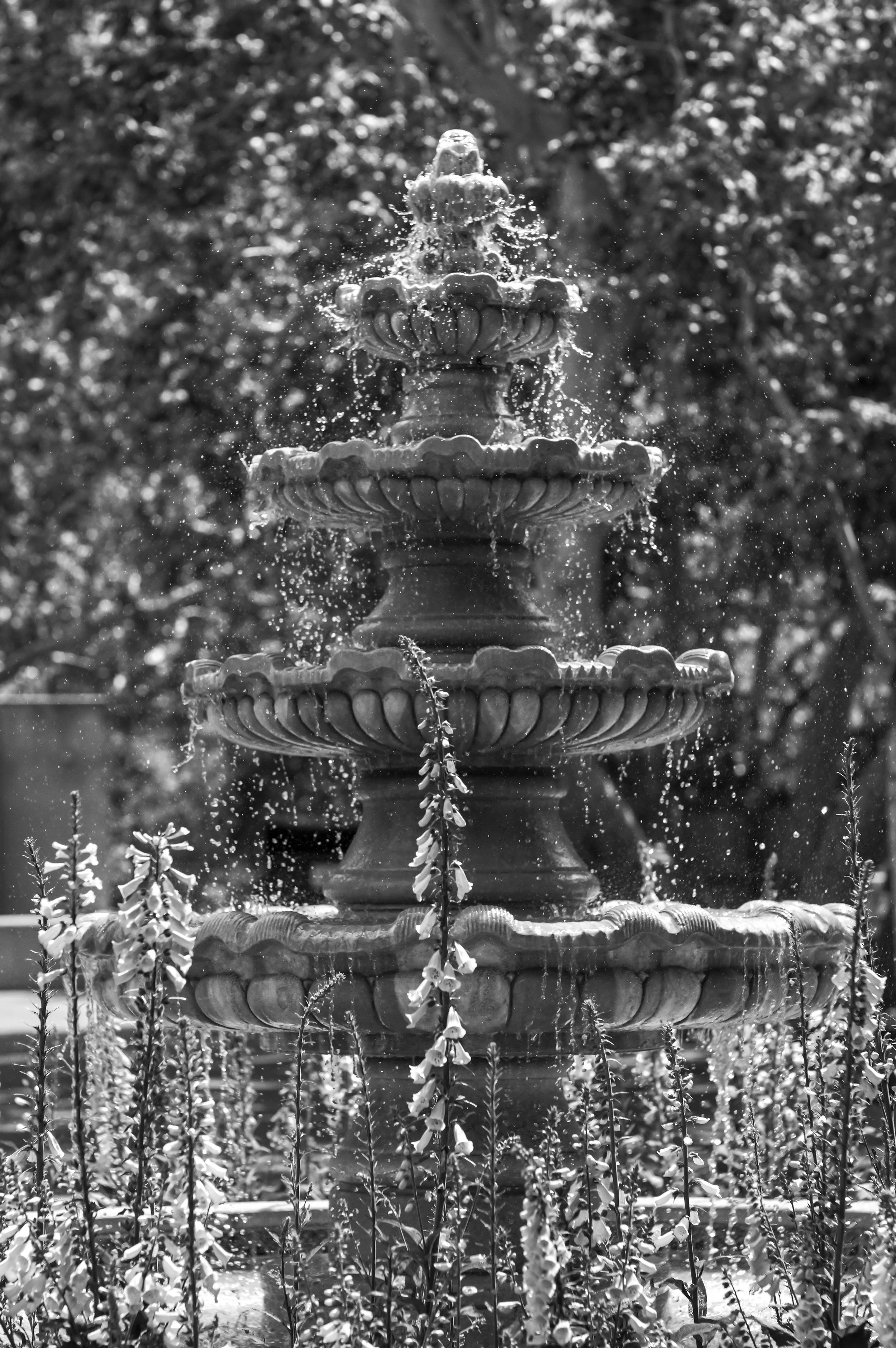 Sunlight catches the water cascading from an ornate garden fountain.