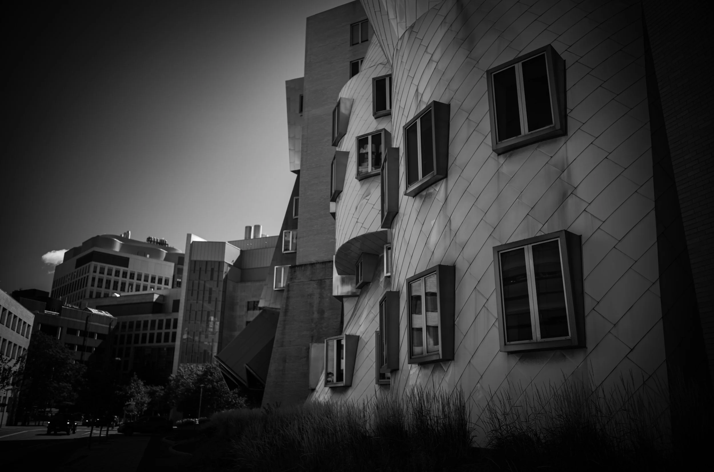 Irregular windows punctuate the curving walls of a modern building.