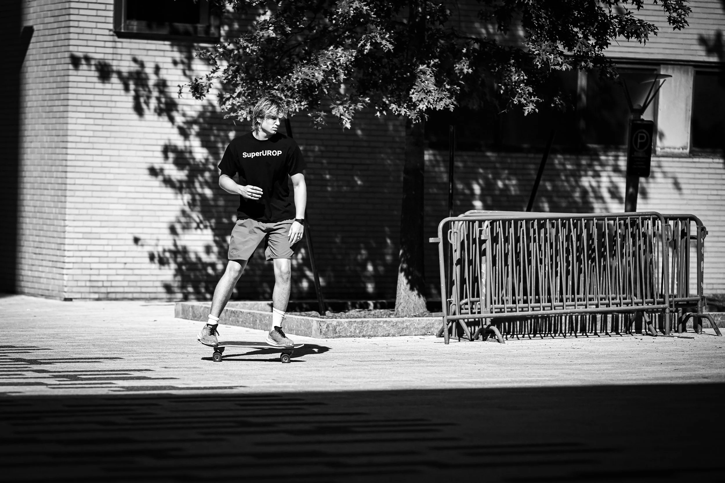 A skateboarder rolls across a sunlit plaza beside deep tree shadows.
