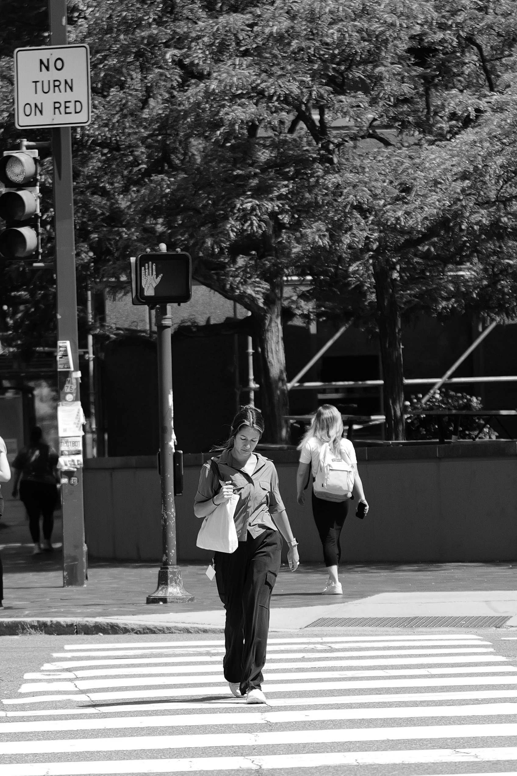 Two pedestrians cross a sunlit city street beneath leafy trees.