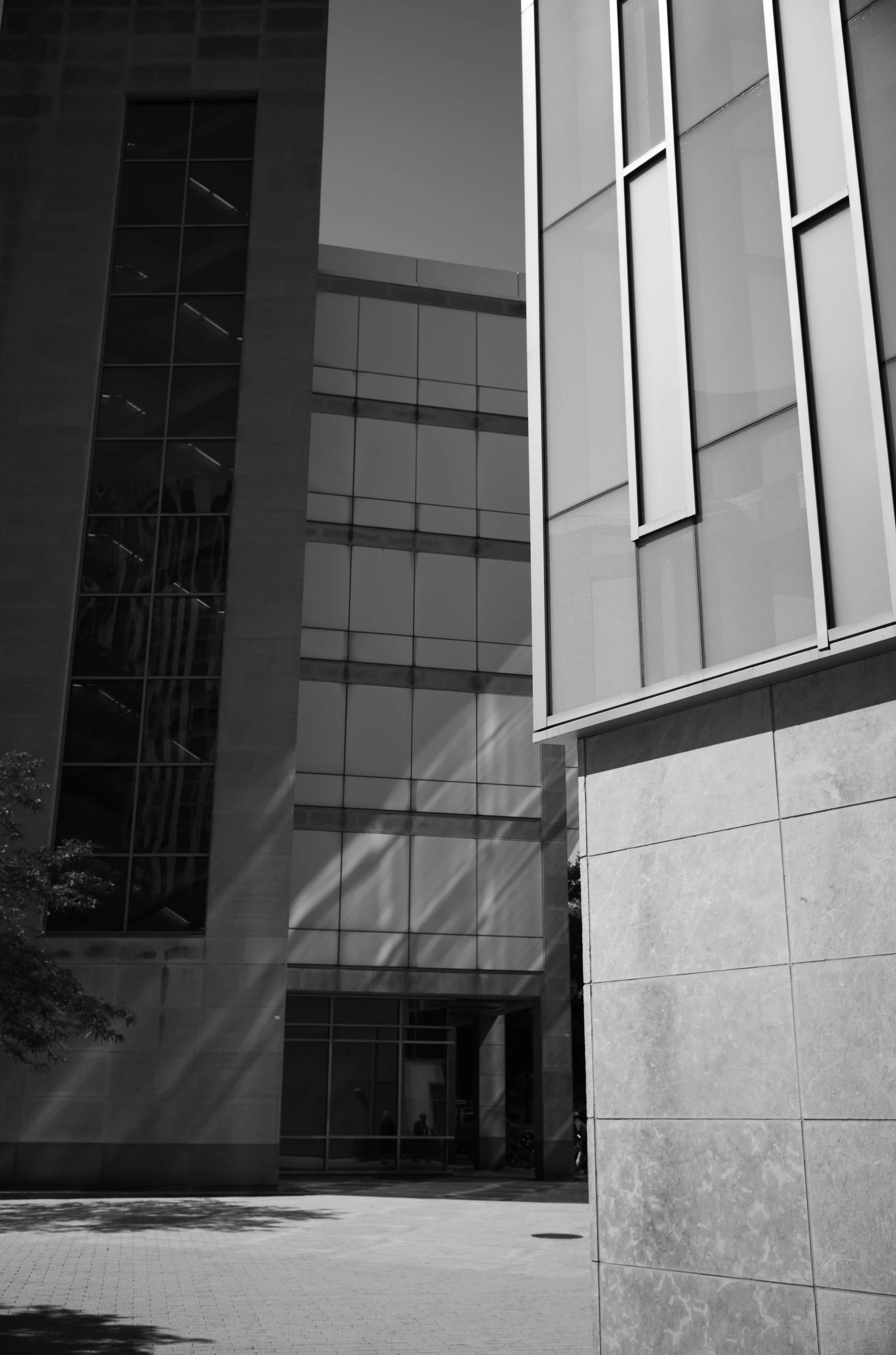 A pale architectural column and window frame divide a shadowed modern facade.