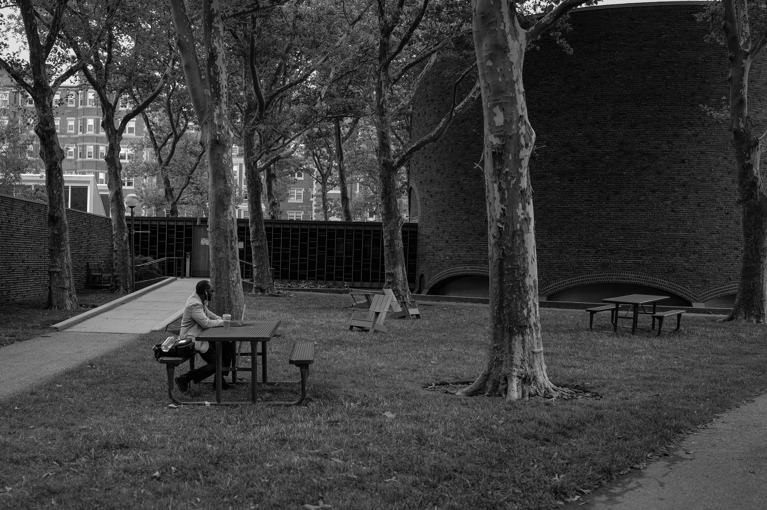 A person sits at an outdoor table beneath trees in a quiet courtyard.