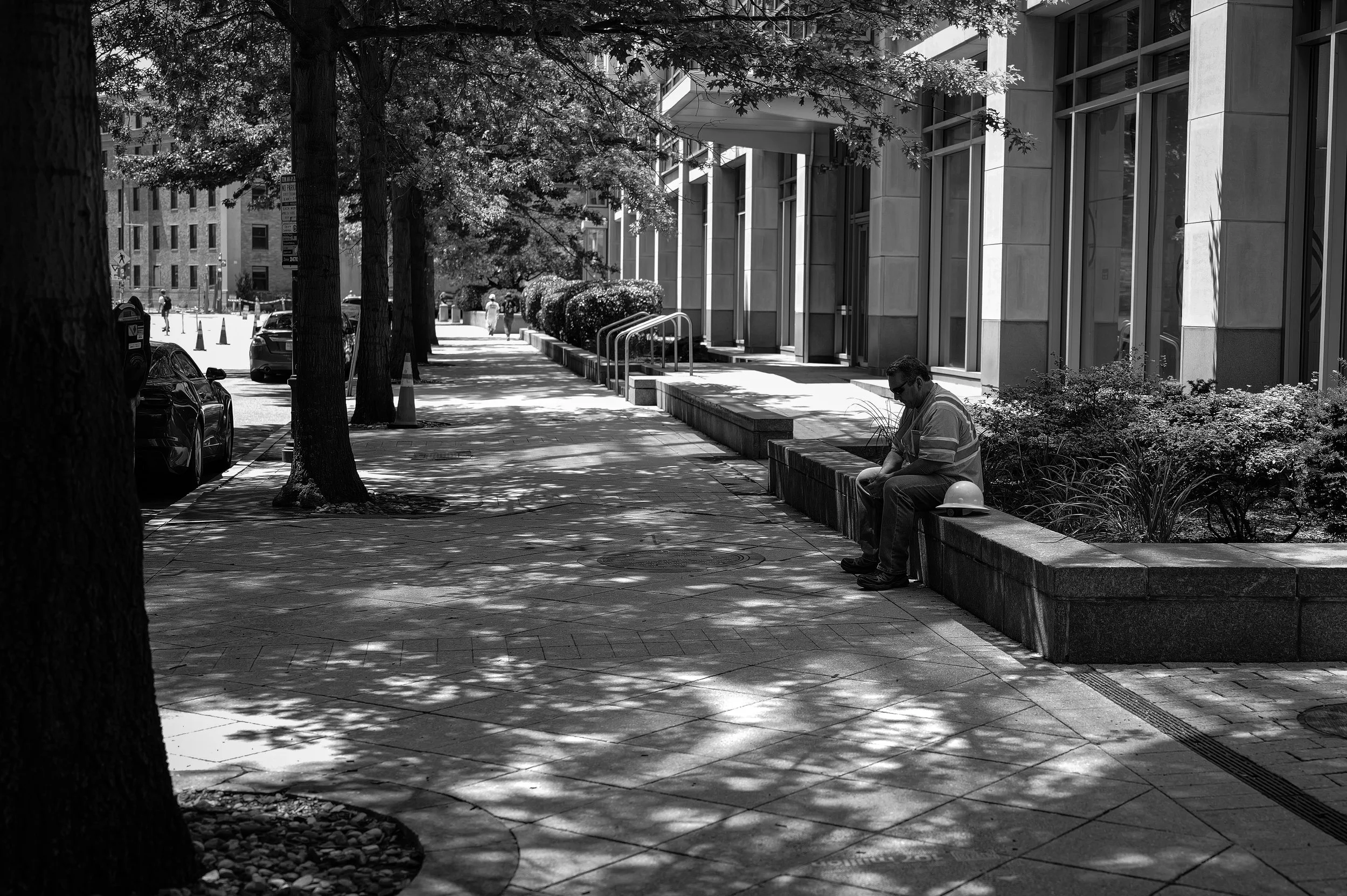 A person sits along a tree-lined walkway outside a columned building.