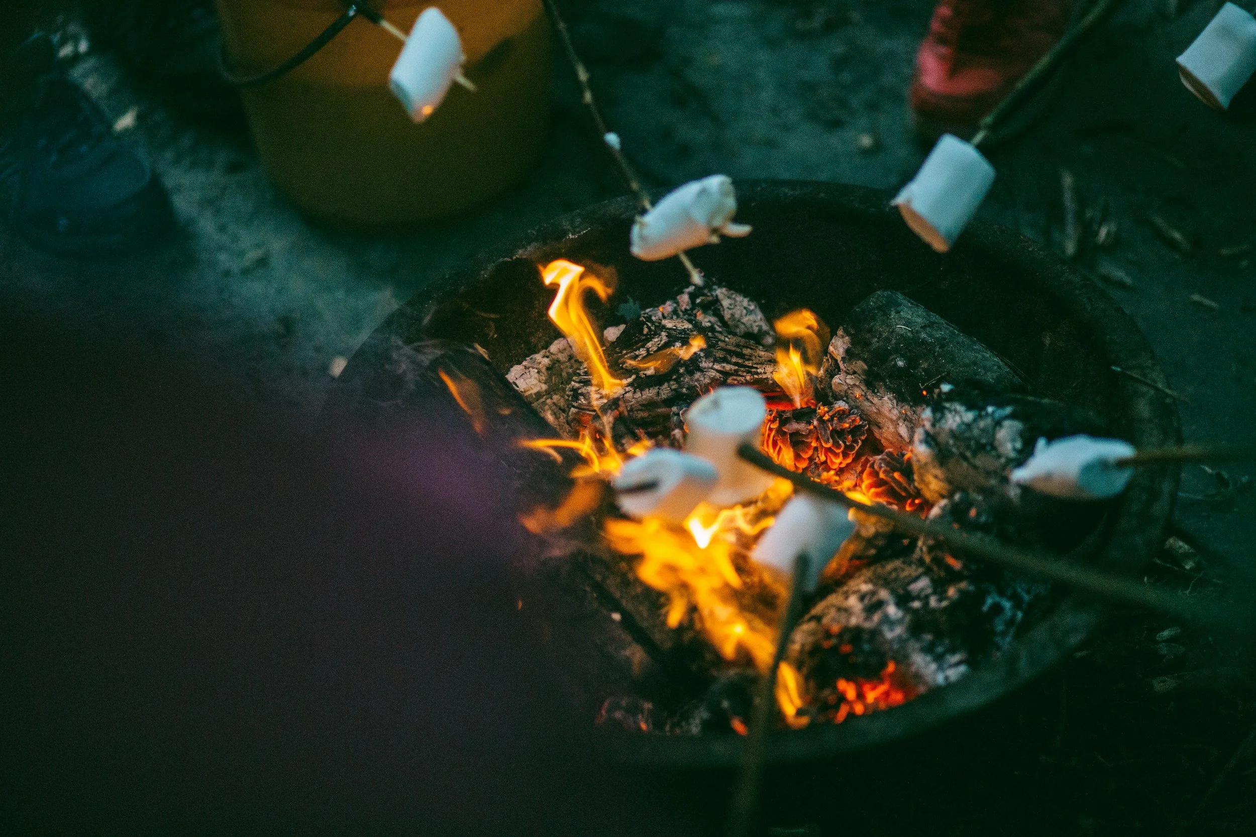 Campfire with white marshmallows on skewers roasting over open flames at night.