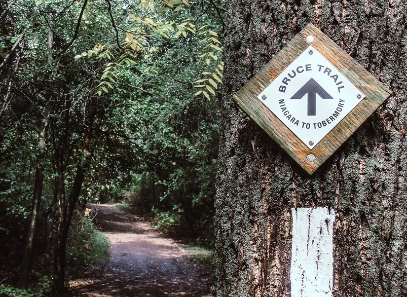 A trail sign attached to a tree indicating the Bruce Trail from Niagara to Tobermory. The trail continues on the dirt path through a dense, shaded forest.