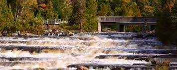 A rushing river with rocks, trees, and a bridge in the background.