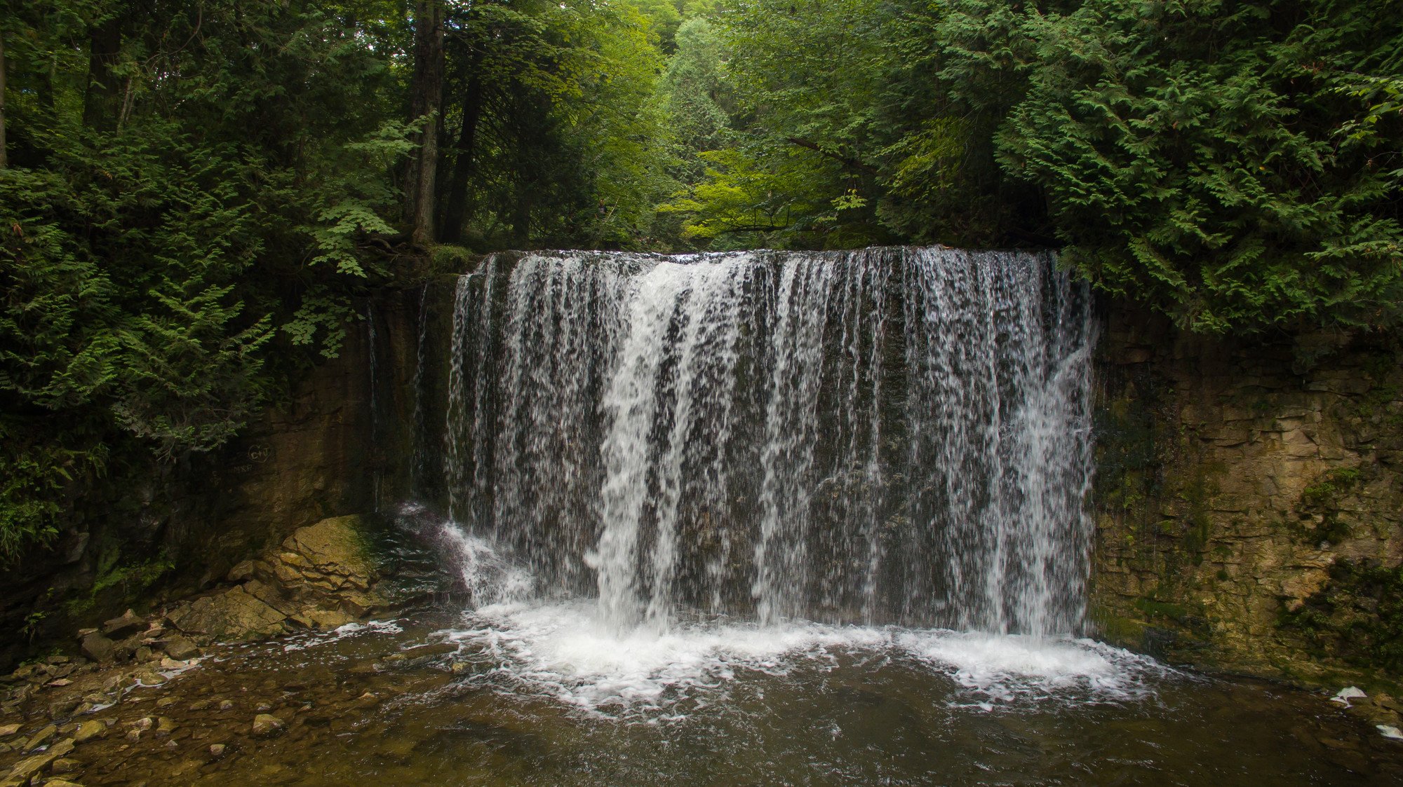 A small waterfall in a lush green forest.