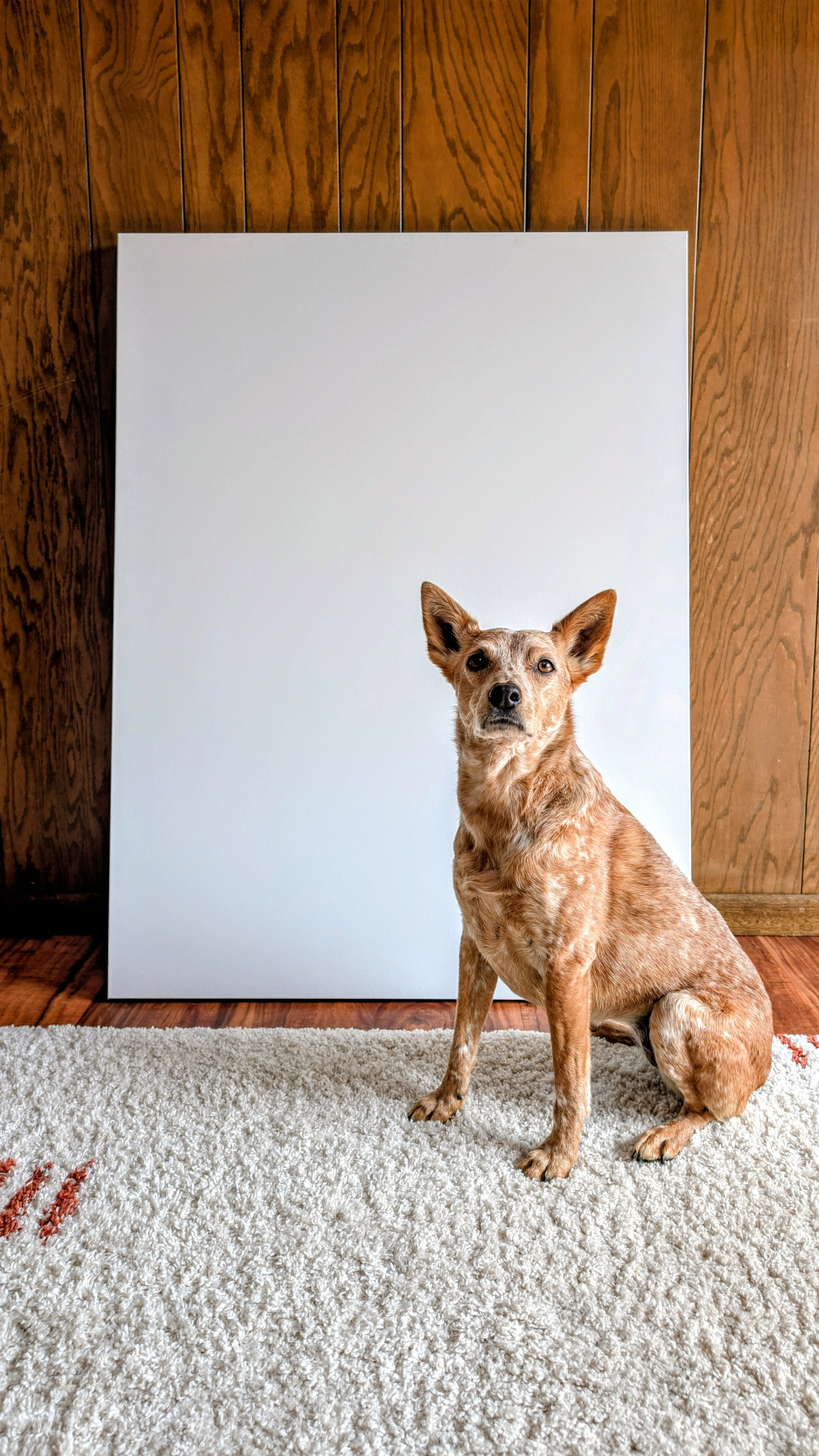 36"x48" Deposit