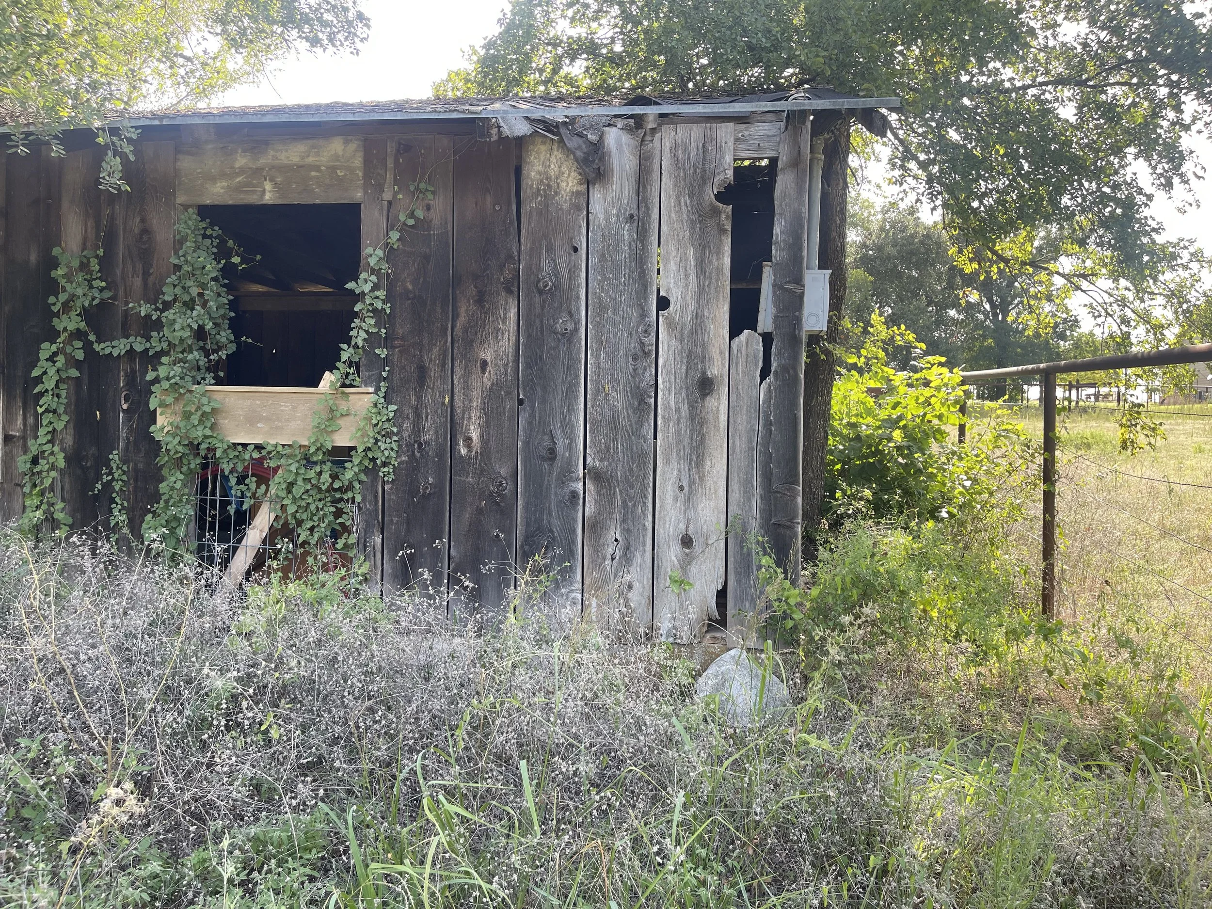 An old, weathered wooden shed with a damaged roof, partially obscured by overgrown plants and trees. The shed has a small window and appears to be in a rural setting.