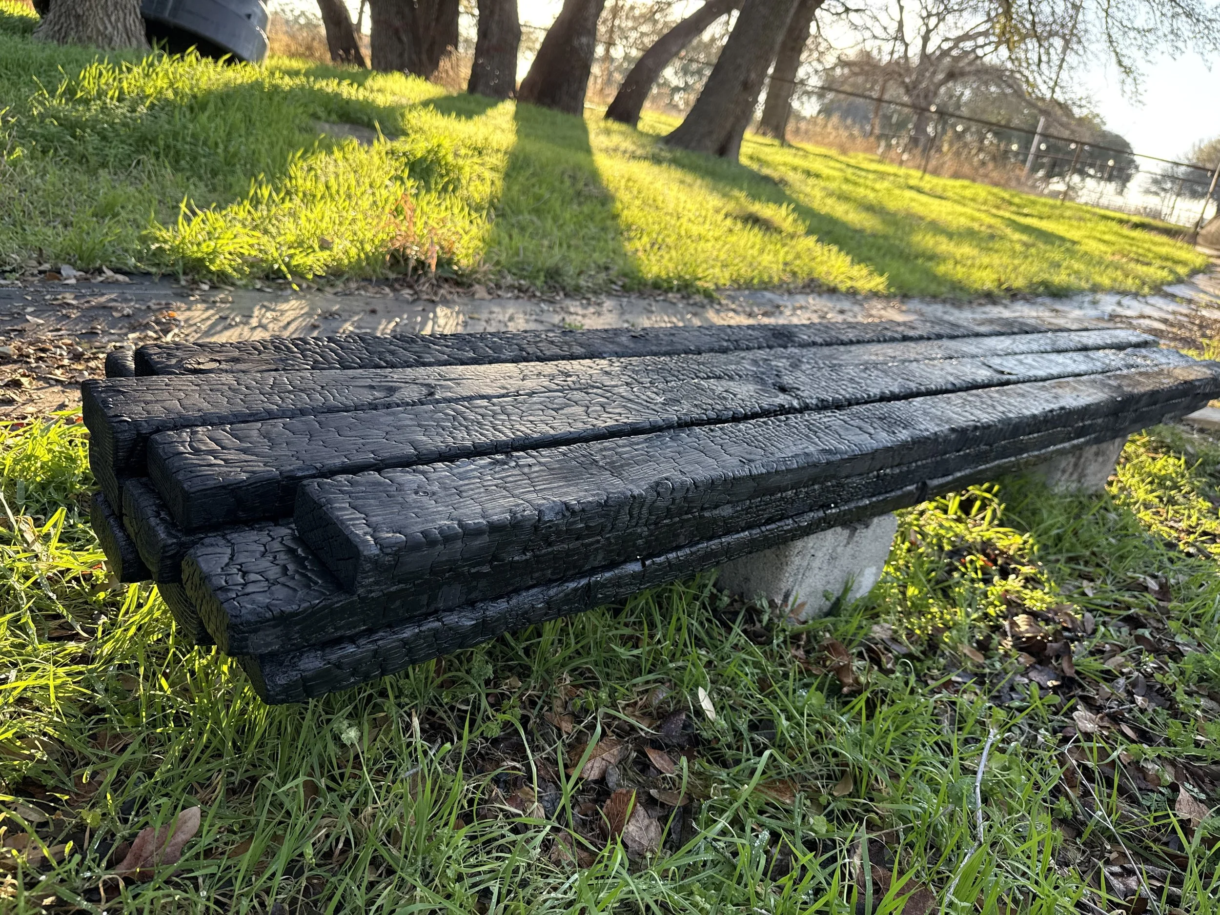 A weathered black wooden park bench on grass with trees and a fence in the background, illuminated by sunlight.