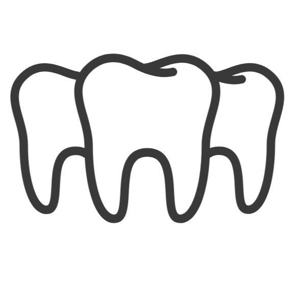 Line drawing of a tooth with roots.