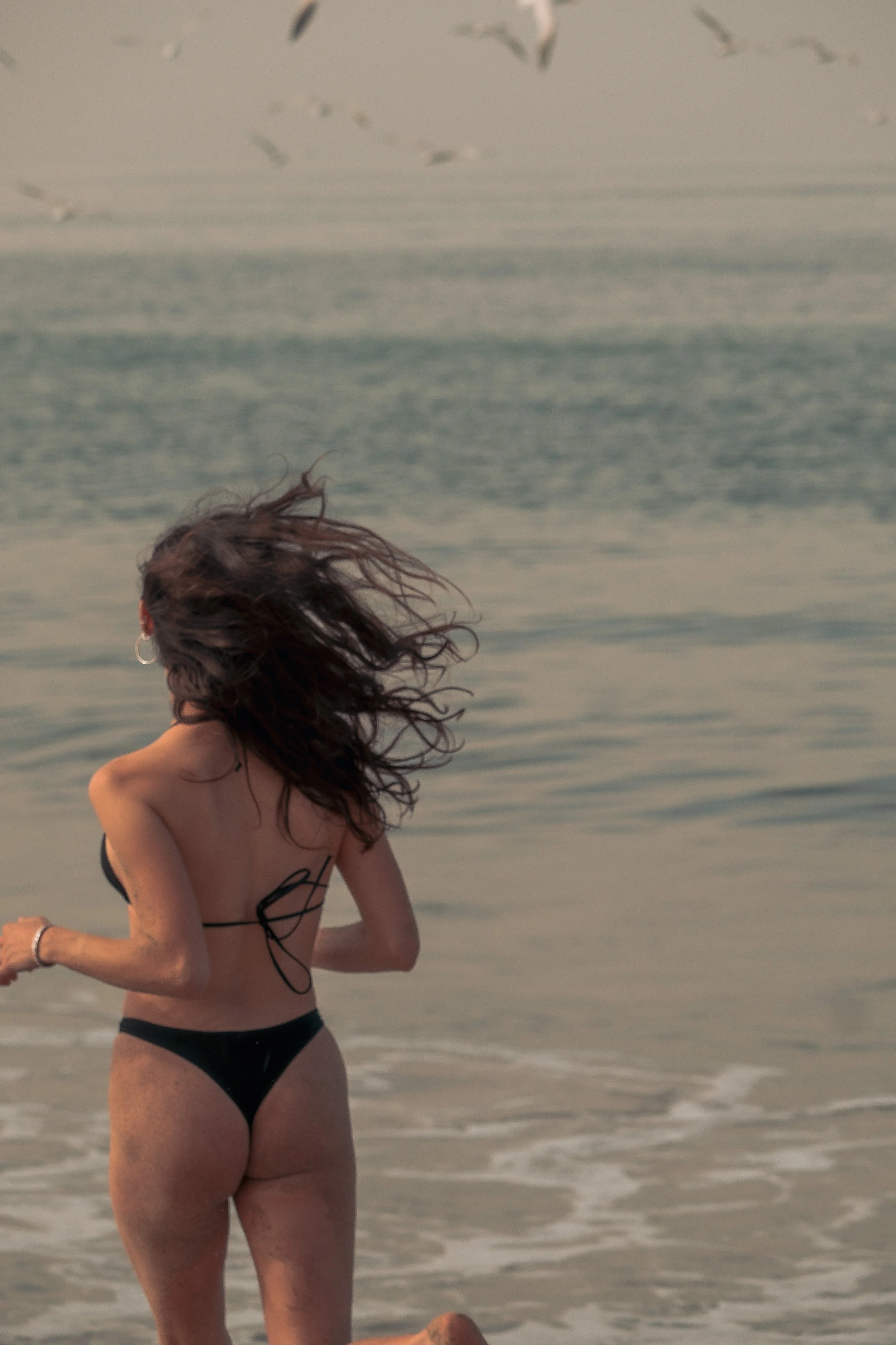 A woman in a black bikini standing in shallow water at the beach, her hair blowing in the wind, with seagulls flying overhead.
