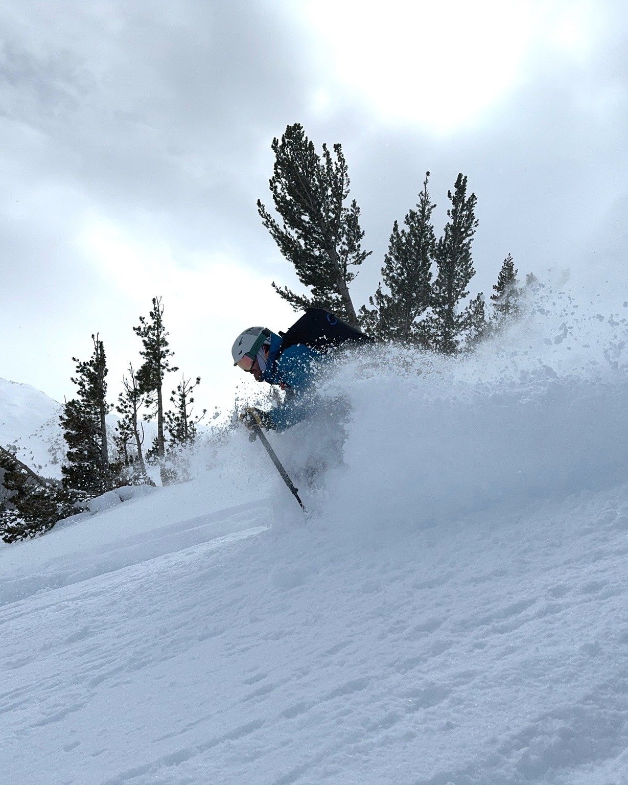 Our wood-fired sauna is the only place we want it to be this hot. Sweating through July but dreaming of deep winter powder? ❄️

Our 2026/2027 booking calendar is officially LIVE. If you want to step out of a cozy yurt directly into untouched Sierra b