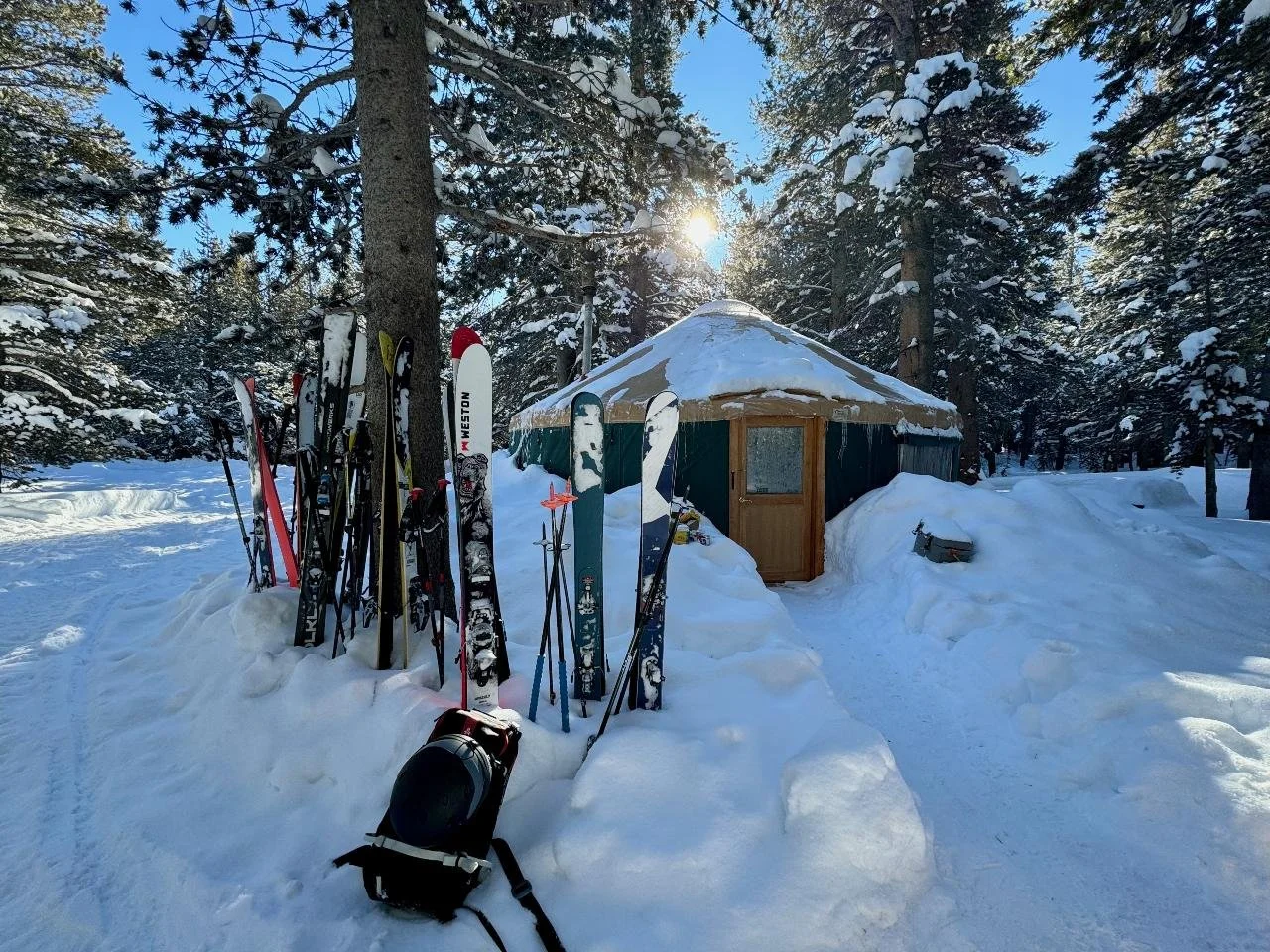 A snowy campsite with a green yurt, various skis and ski poles leaning against a tree, and a backpack in the snow. Tall snow-covered pine trees surround the scene, with the sun shining through the branches.