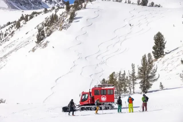 Guest skiing powder to snowc