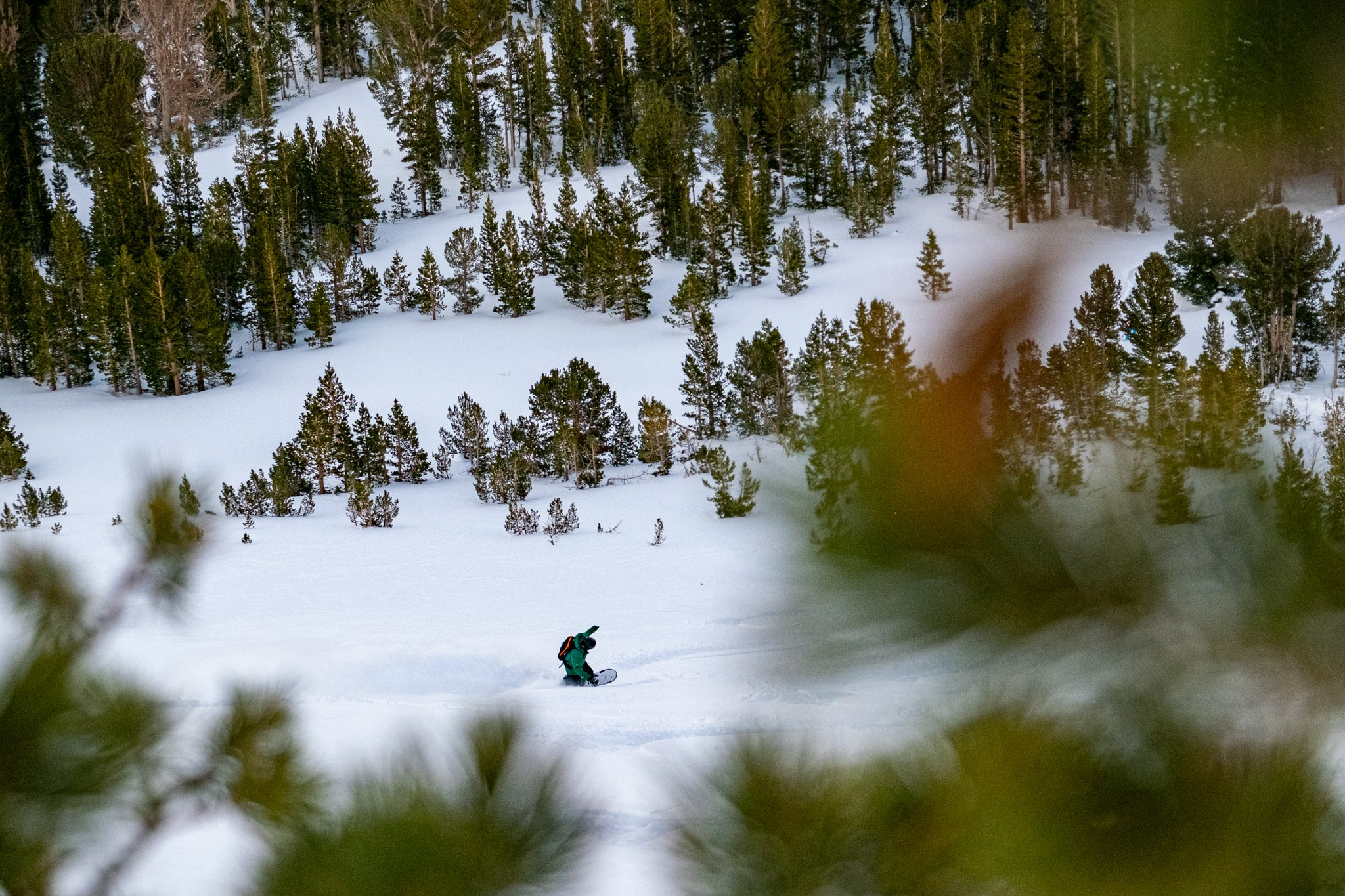 A person in a green jacket, black pants, and a backpack is snowboarding on a snow-covered slope surrounded by a forest of pine trees.