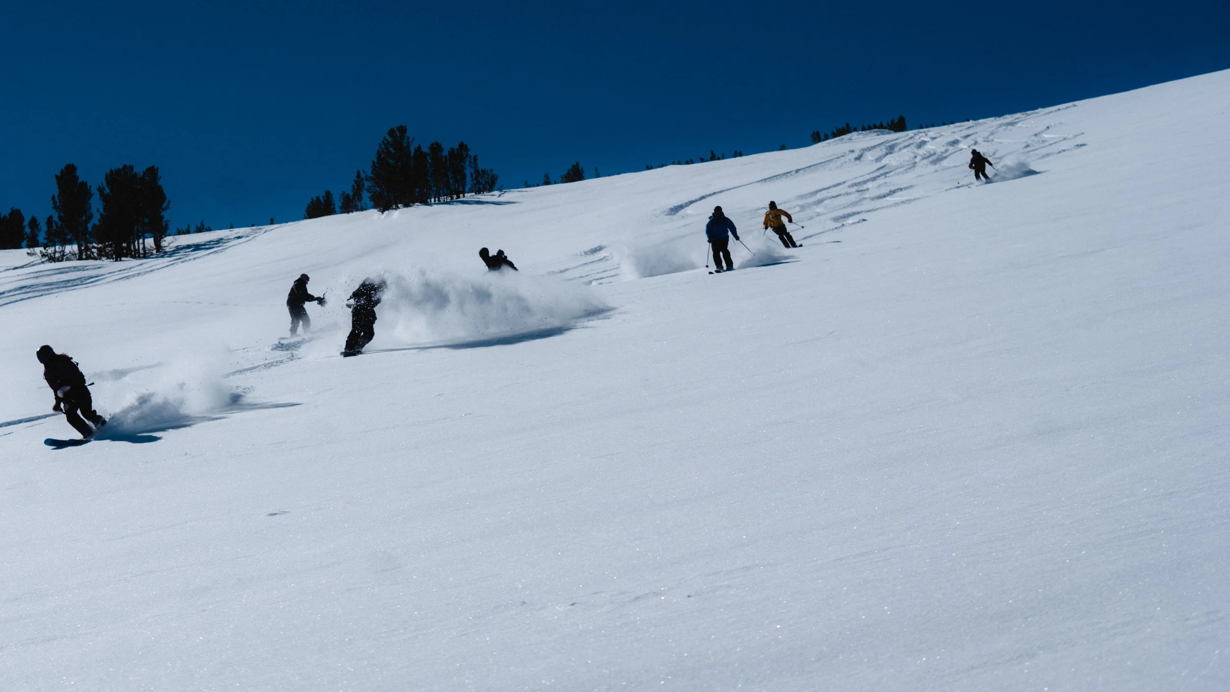 Group of skiers descending a snowy mountain slope under a clear blue sky, with trees in the background.