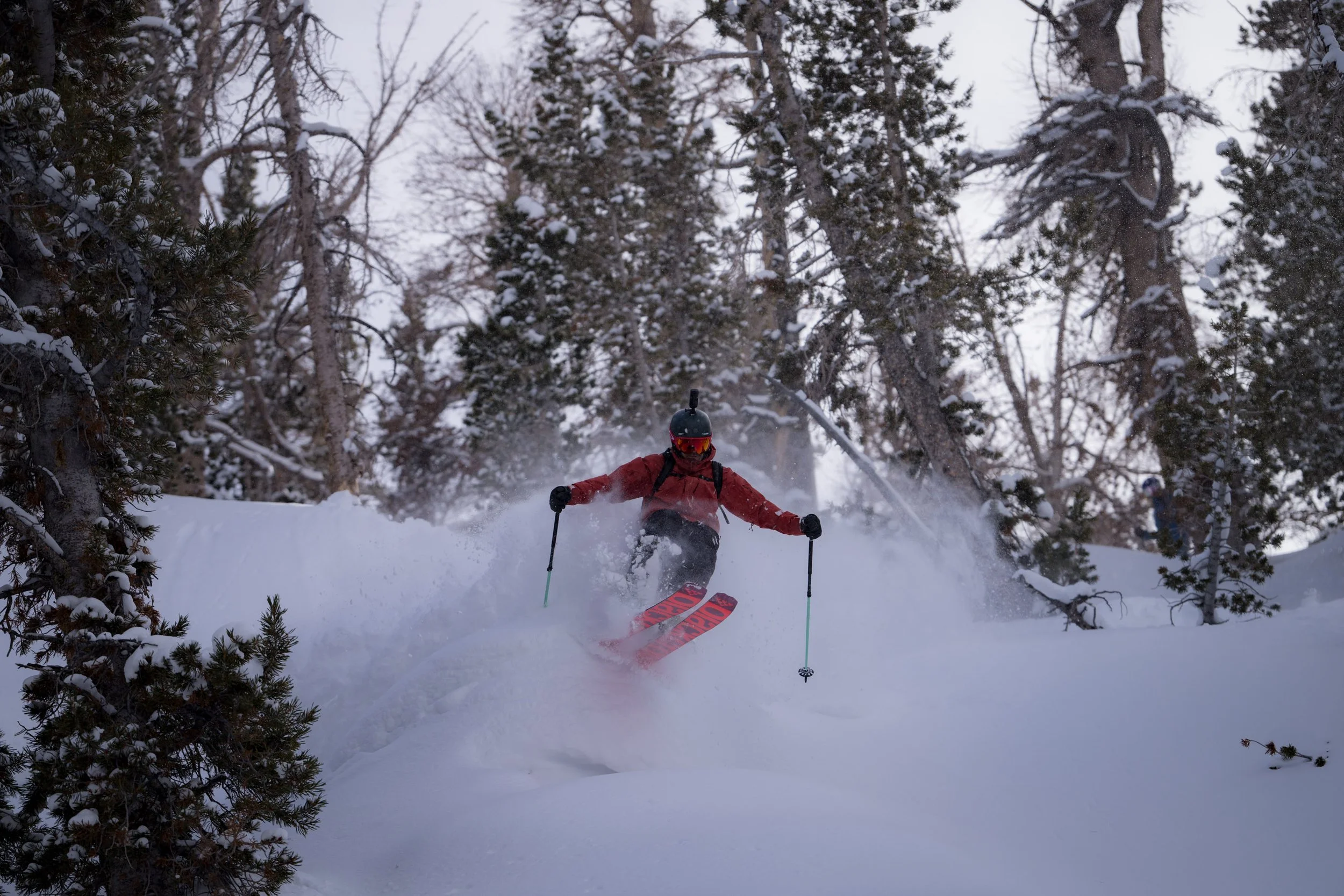 A skier wearing a red jacket, black helmet, and goggles skiing down a snowy slope in a dense forest of snow-covered trees.