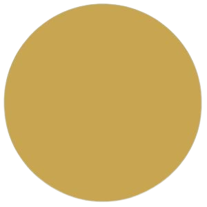 A solid gold-colored circle on a black background.