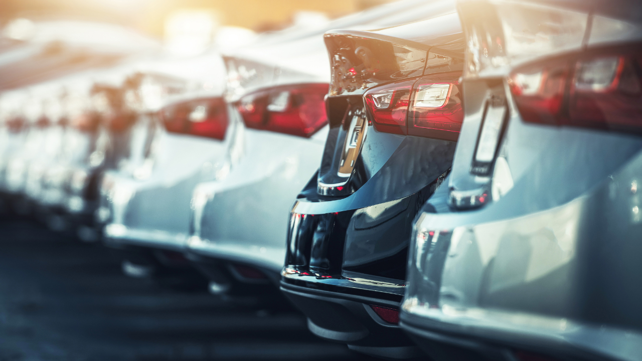 Row of parked cars at a dealership with sunlight reflecting off their backs.