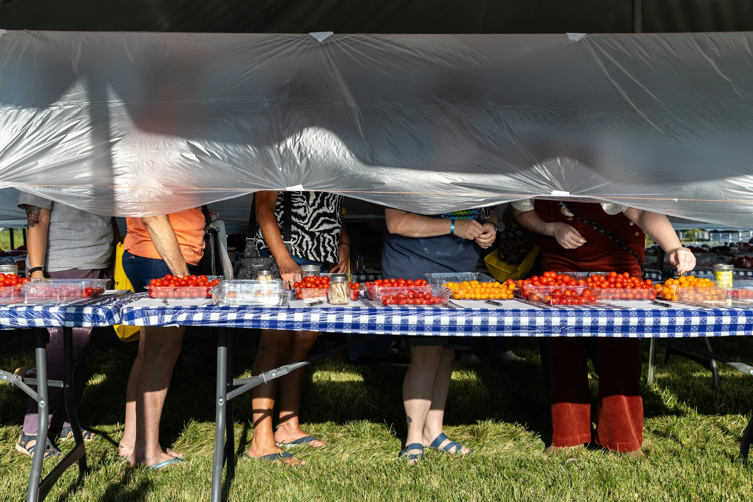 20240905_TomatoFest_ACJ_145.jpg