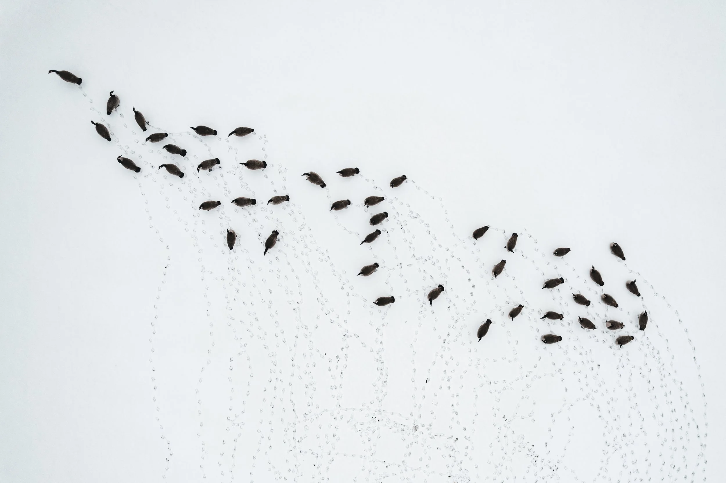 DJI_0307-2.jpg