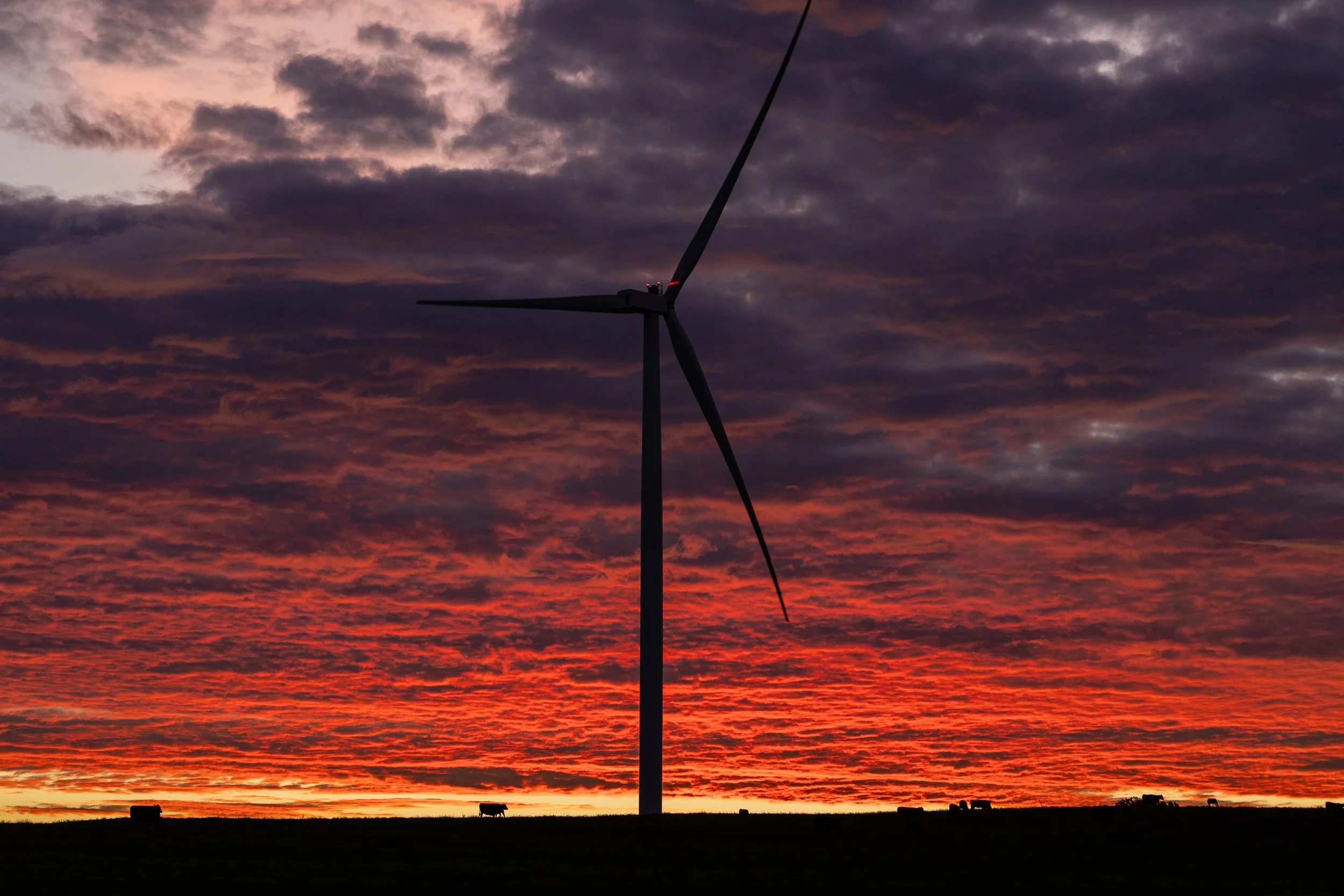 A wind turbine looms over the horizon near Russel’s farm outside of Maryville. Wind turbines have become a common feature of Nodaway county’s landscape over the past two decades, but no wind turbines stand on Miller’s land. "We want to keep the land 