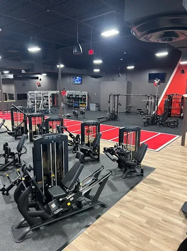Empty gym with various exercise machines, free weights, and cardio equipment in a modern fitness center.