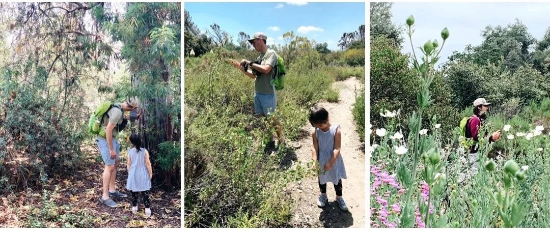 Nature Walk