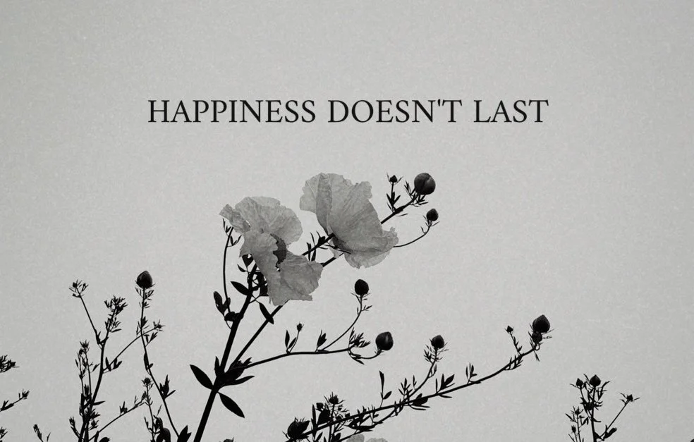 Happiness Doesn’t Last