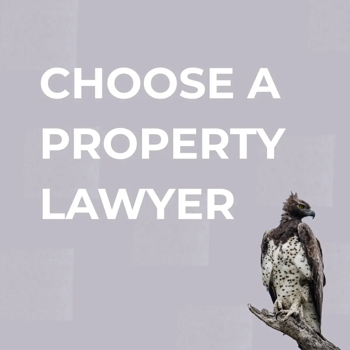 Best property lawyers in Hermanus and the Overstrand: Conveyancers compared