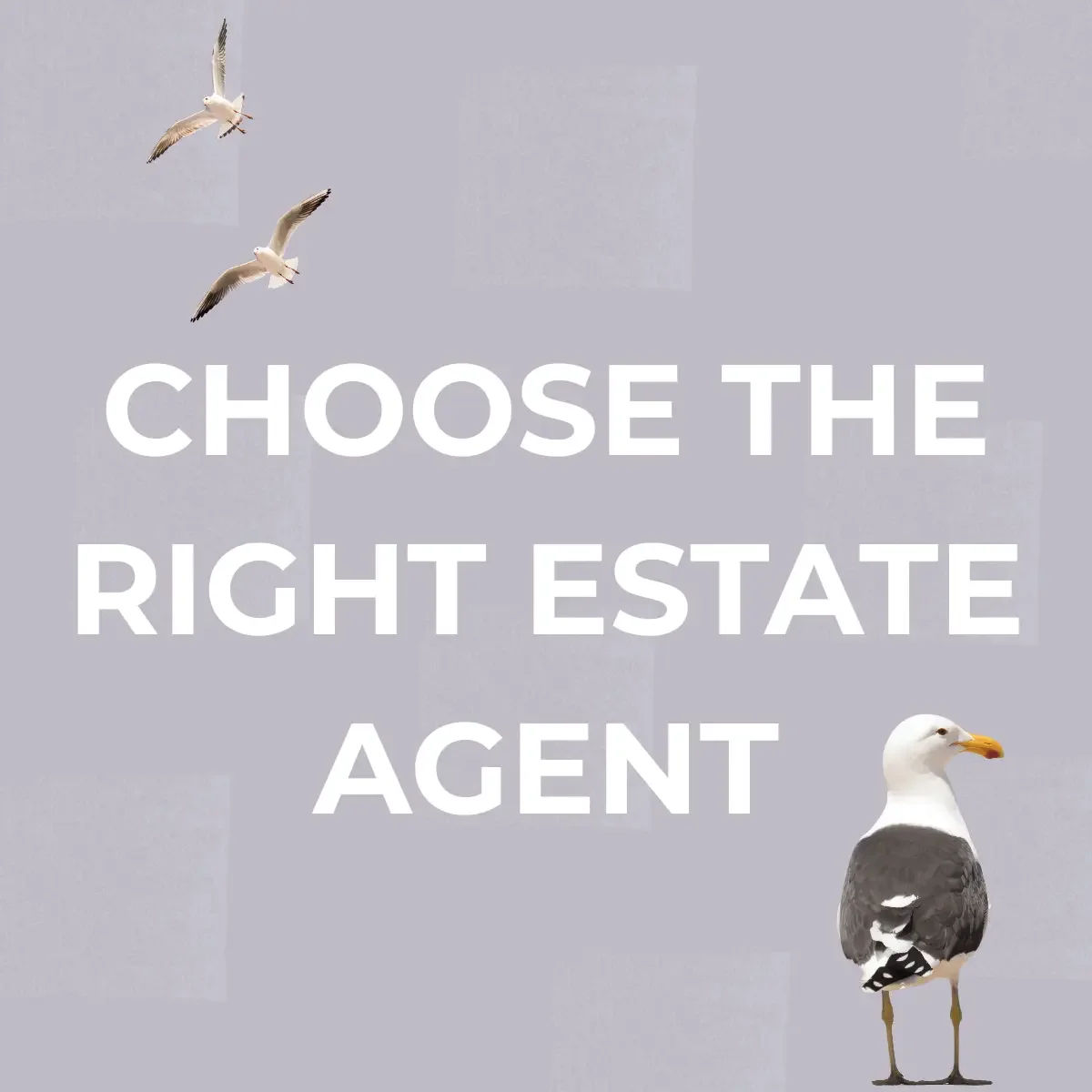 How to choose “the right estate agent for me” in Hermanus and the Overstrand