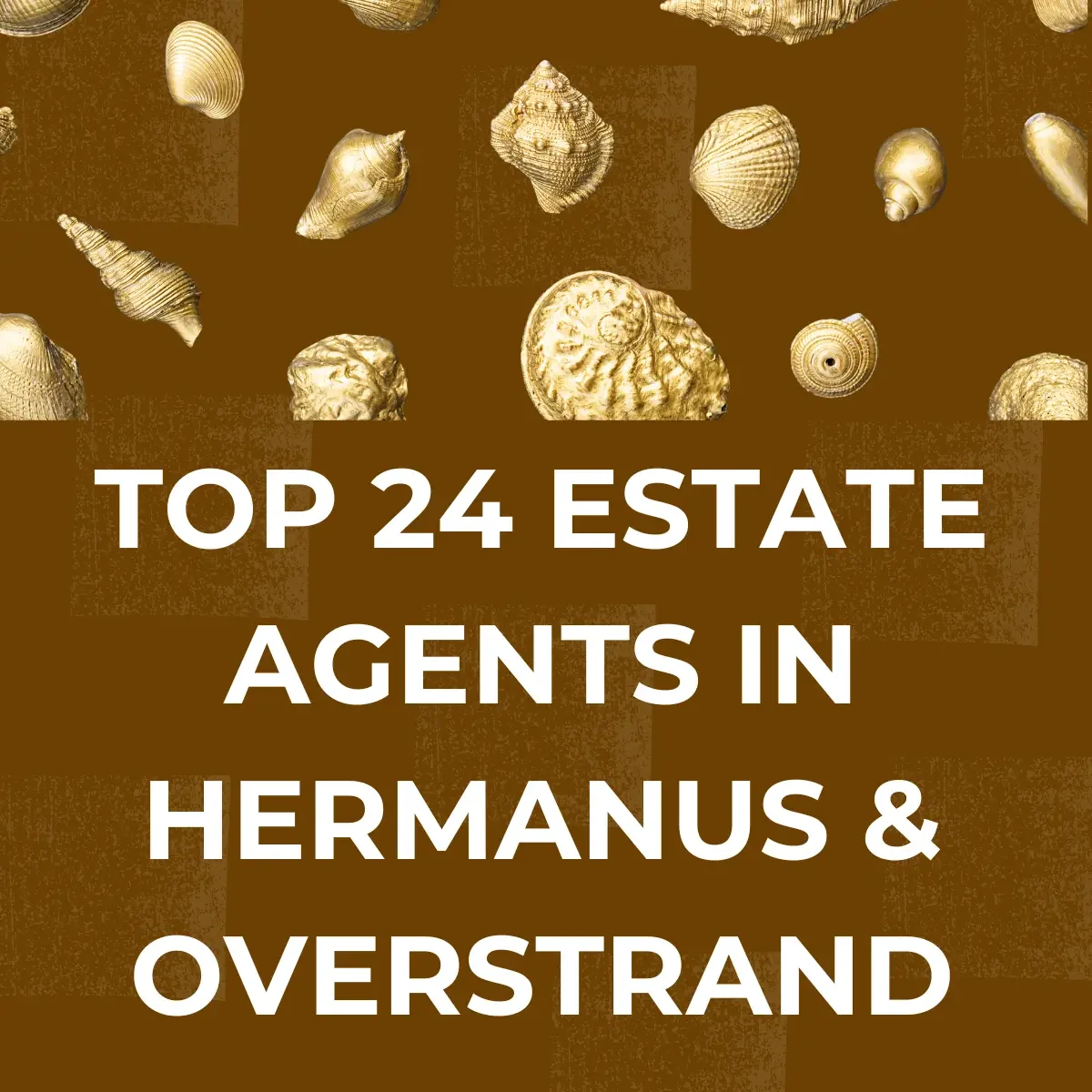 The best estate agents in Hermanus and Overstrand