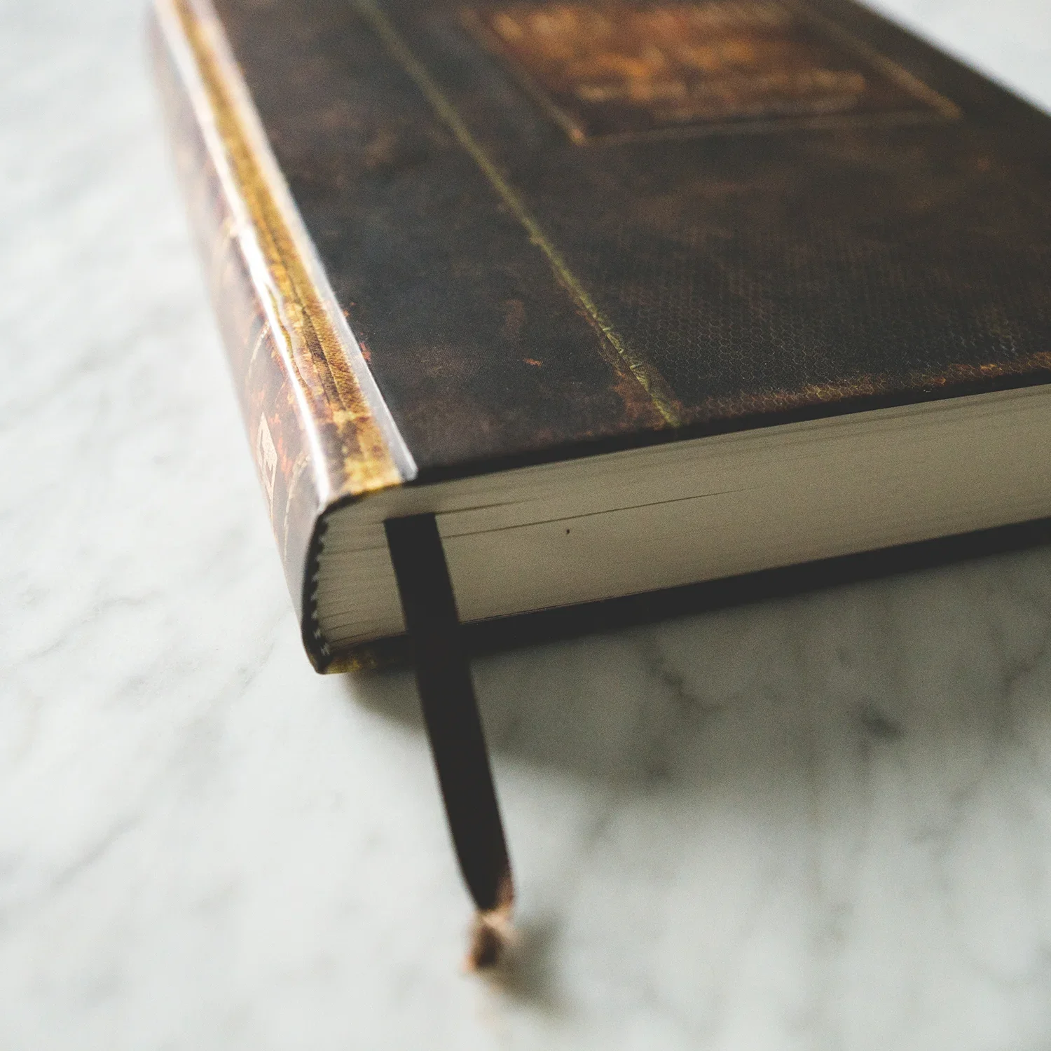 books+2.jpg.webp