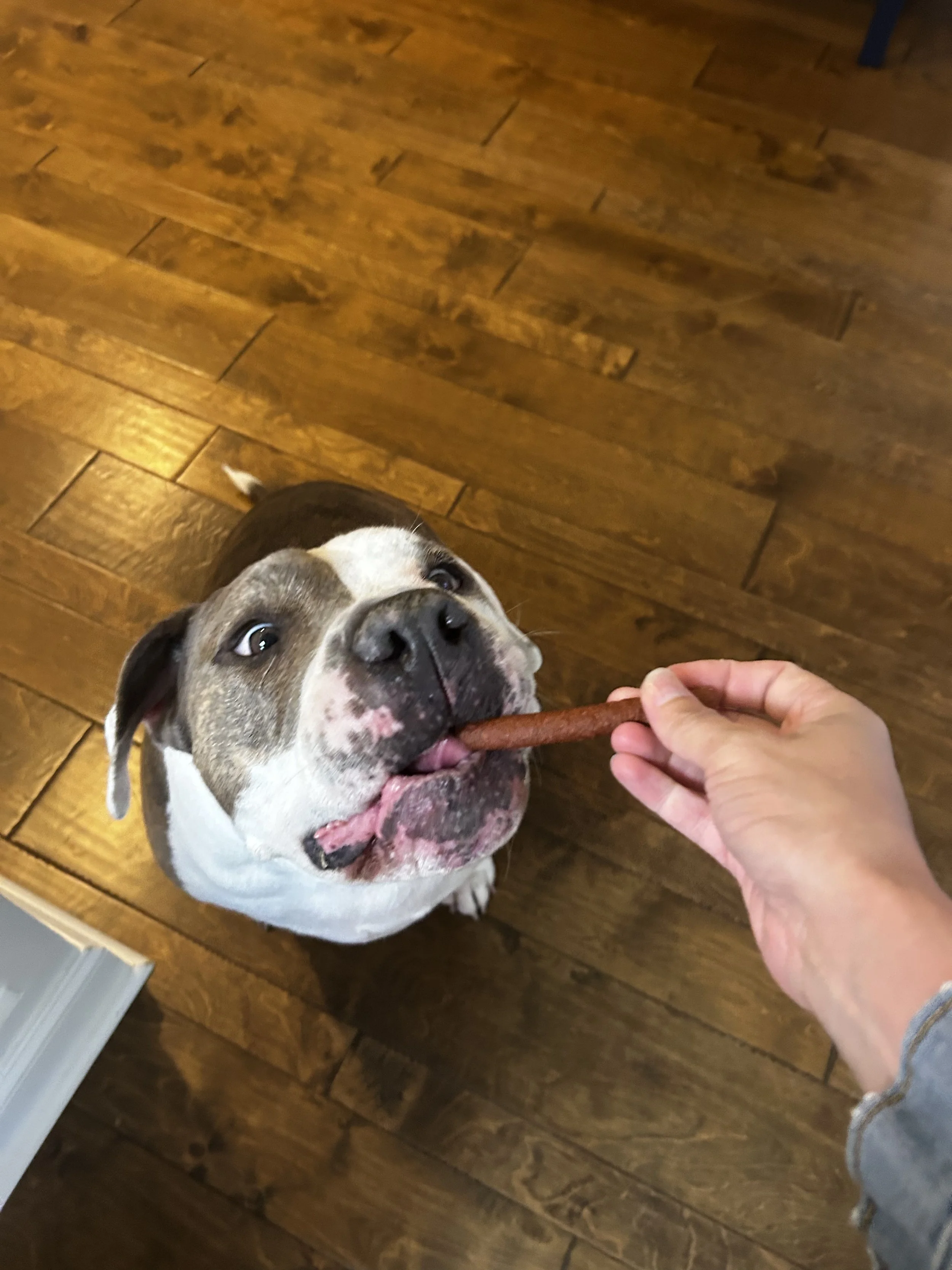 Boarding at  Paws&Snooze