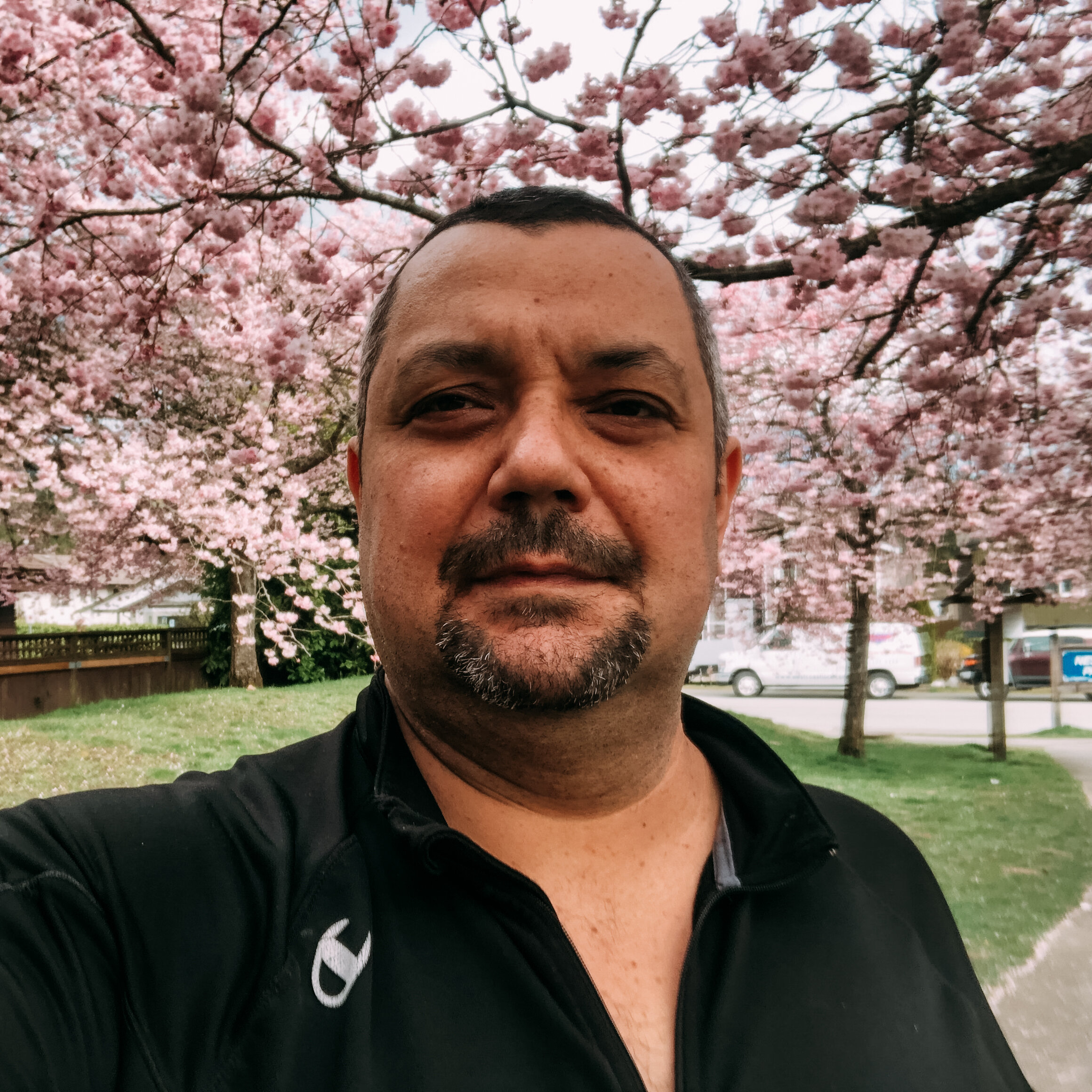 Close-up selfie of a man with short dark hair and a beard, standing outdoors in front of pink flowering trees, overcast sky, and a grassy area.