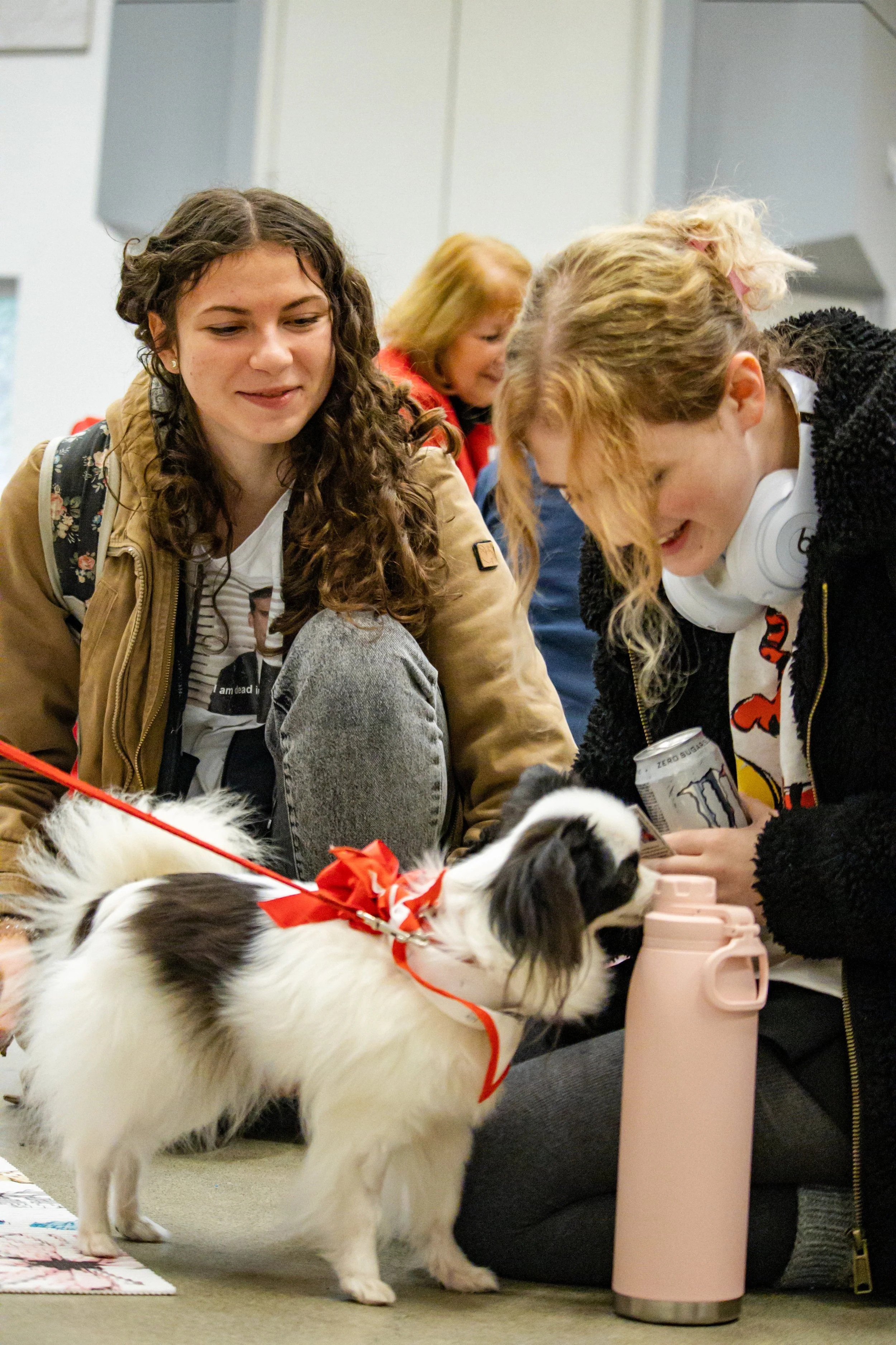 Young women, one with curly brown hair and another with curly blonde hair, are sitting on the floor with a small black and white dog that has a red bow on its collar. The women are smiling and appear to be playing with the dog, which is looking at a pink water bottle.