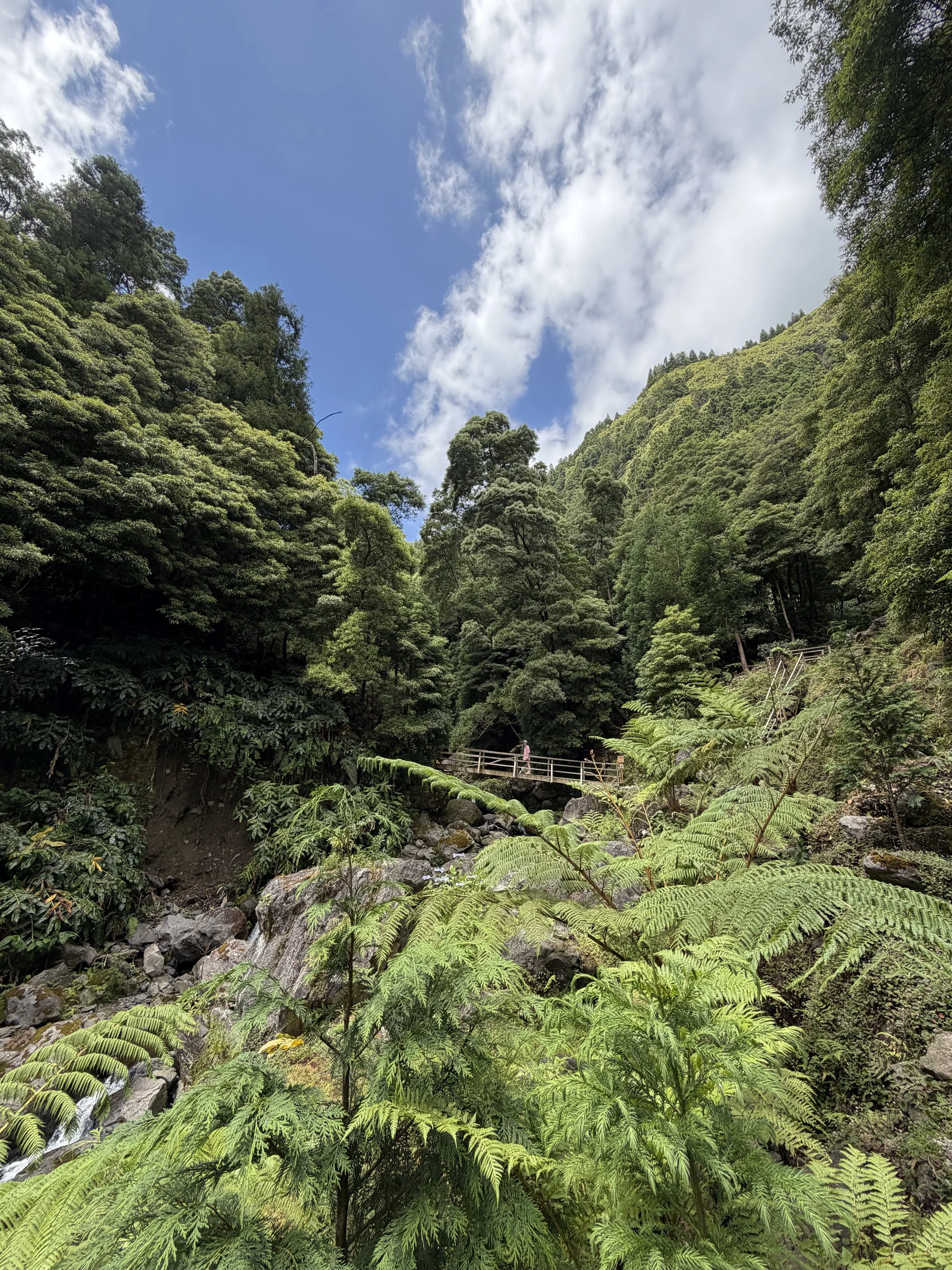 A lush green forested mountain valley with a small stream and rocky terrain, under a partly cloudy sky.