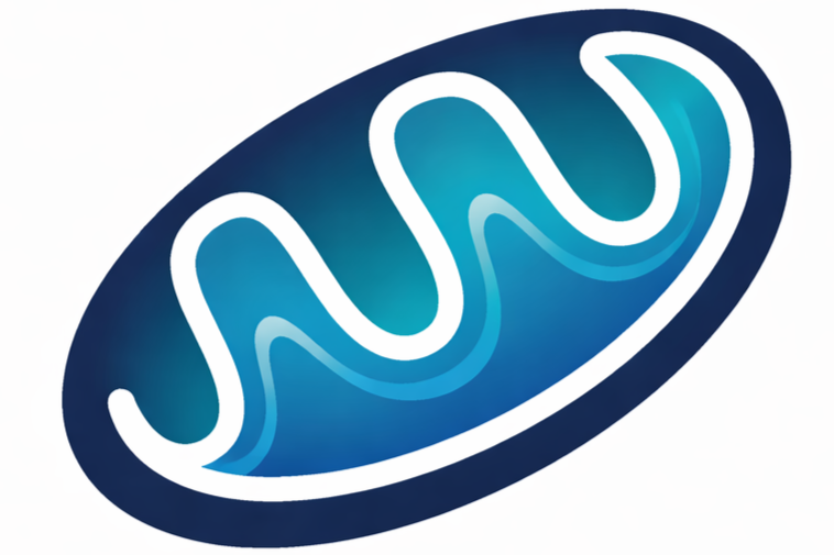 A stylized logo of a mitochondria with a blue gradient, white outline, and wavy lines inside.