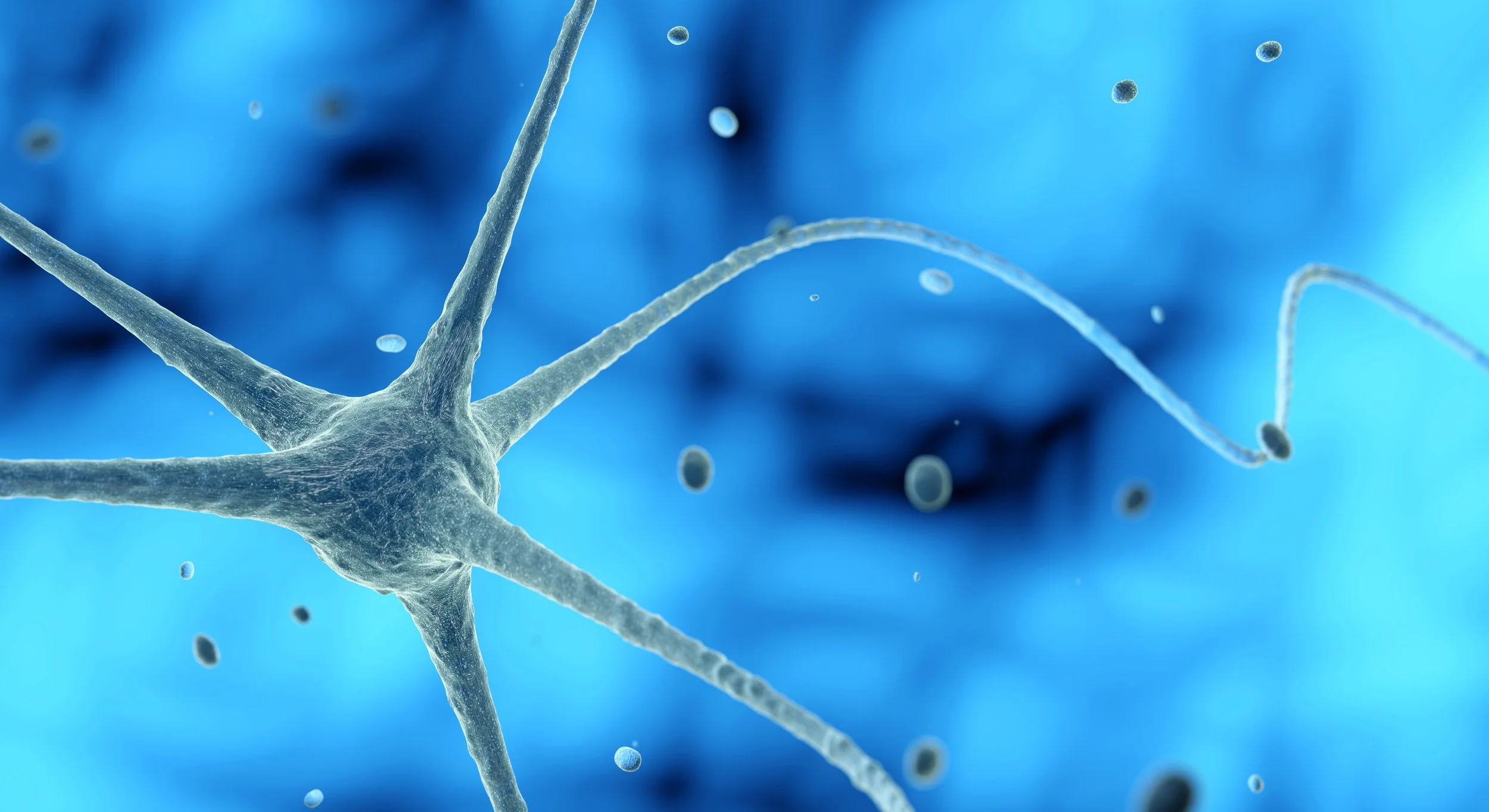 Microscopic view of neurons with nerve fibers and small surrounding cells, depicted in shades of blue and gray.