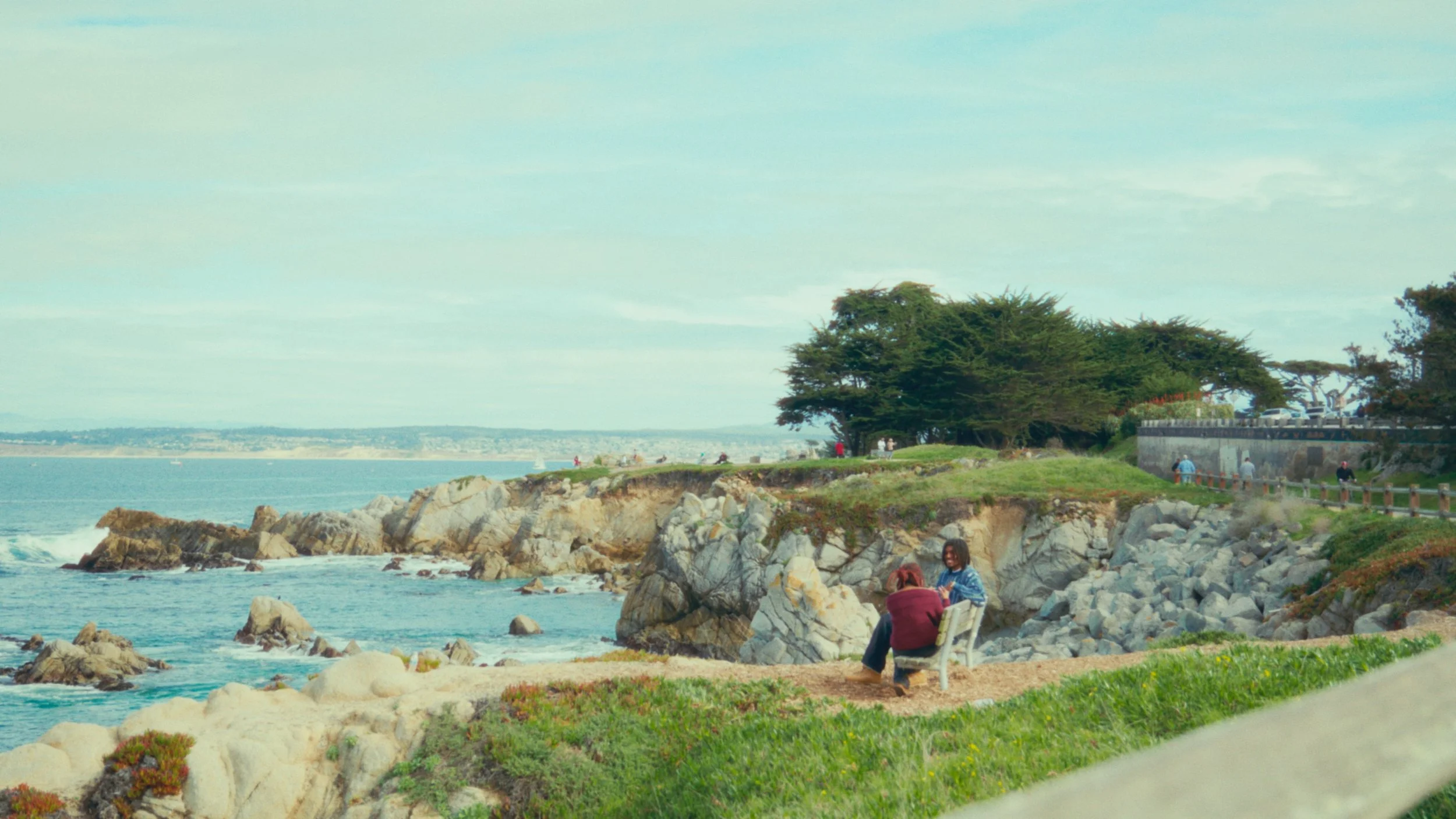 People sitting on a bench by the rocky shoreline, with the ocean in the background and trees on a grassy area.