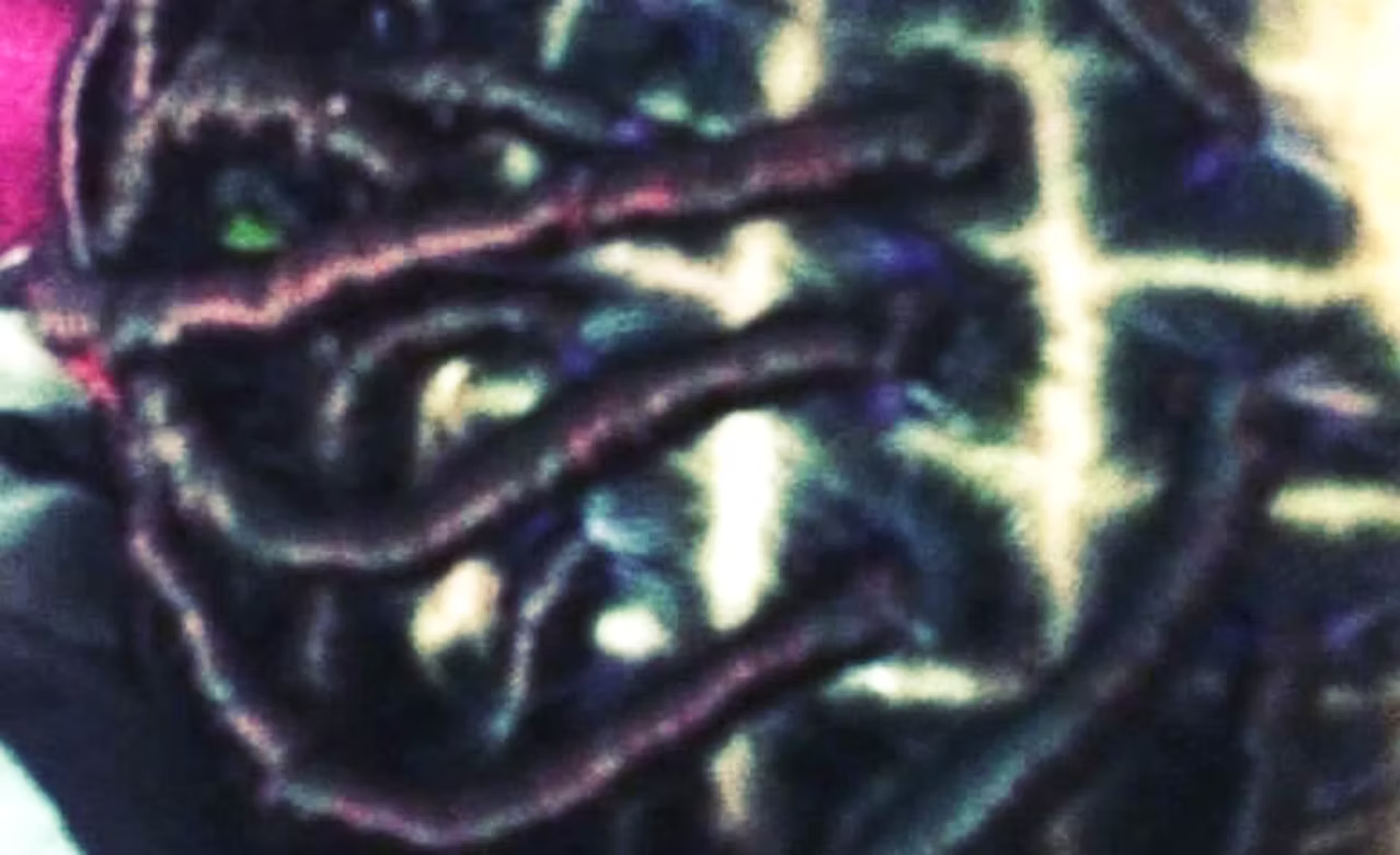 Close-up of a cluster of black, shiny, wrinkled object with colorful reflections.