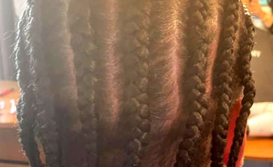 Close-up of a hairstyled person's dark braided hair.