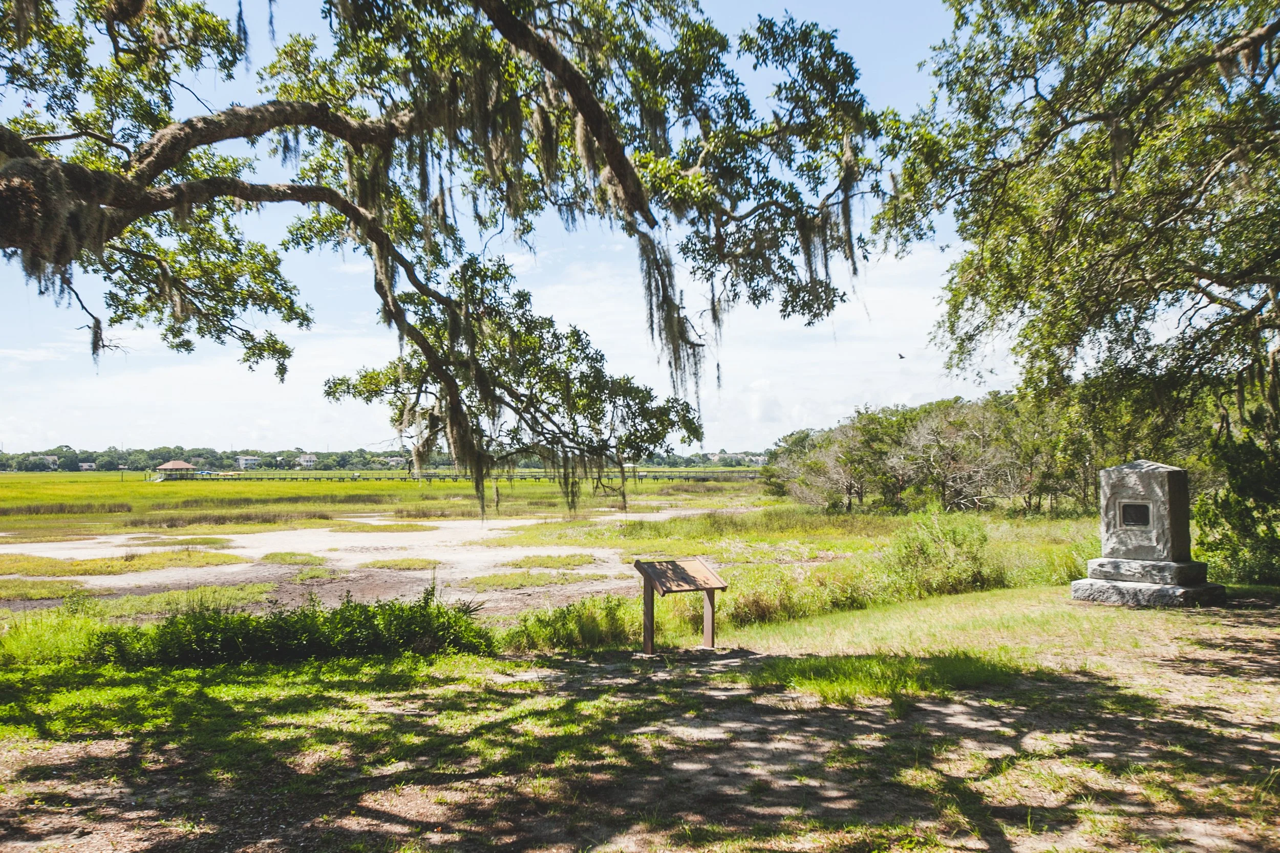 Outdoors scene with large tree covered in Spanish moss, grassy field, and blue sky in the background.