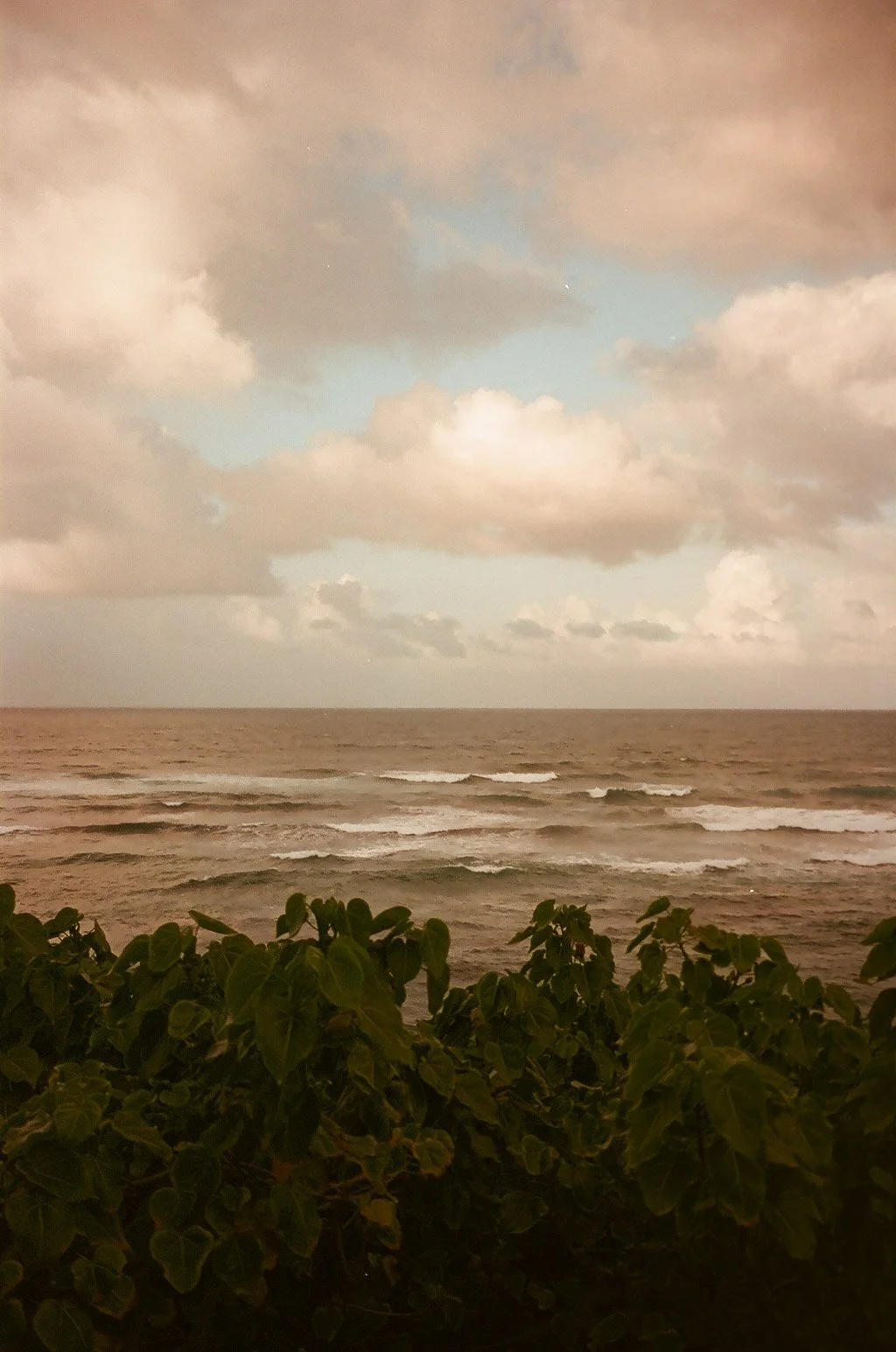 A view of the ocean with waves and a cloudy sky, with green bushes in the foreground.