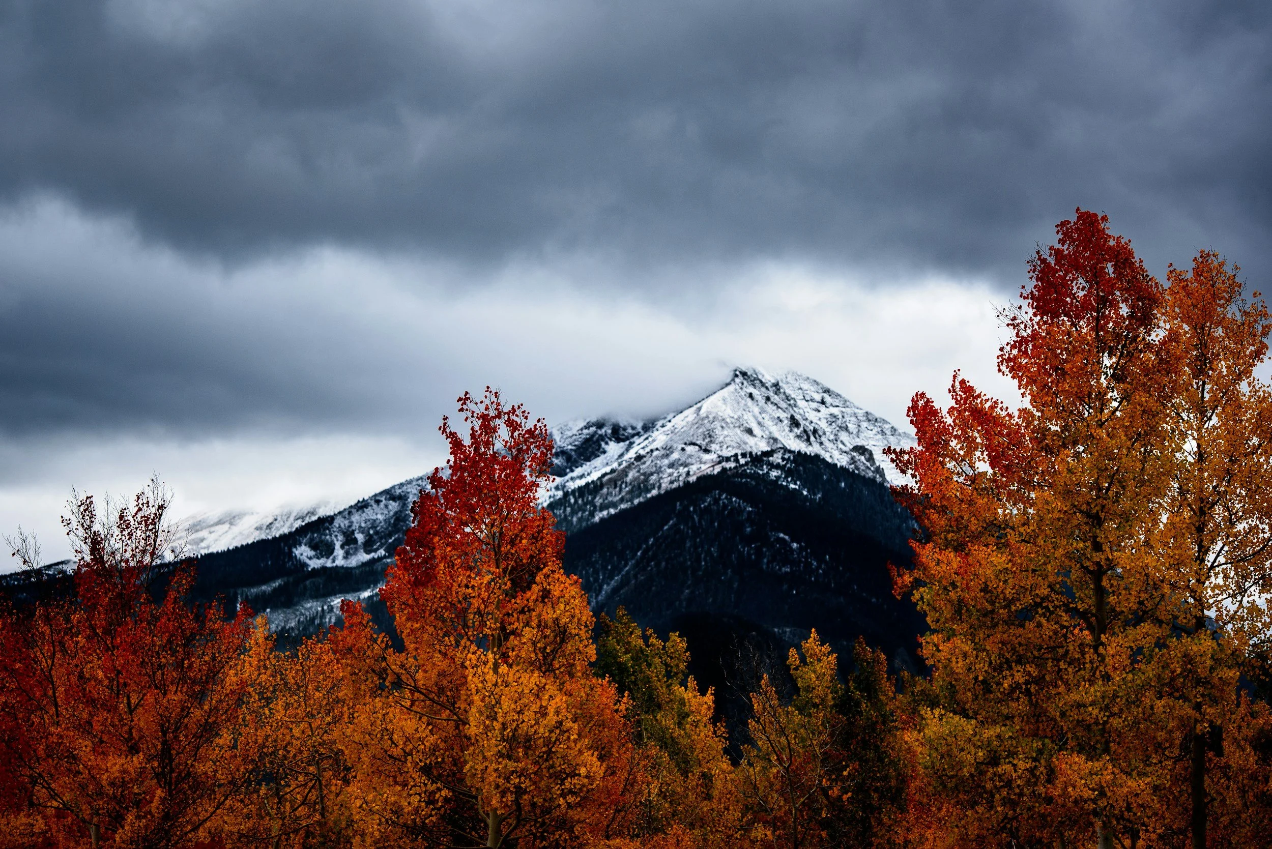 Autumn trees with red and orange leaves in front of a snow-capped mountain under a cloudy, dark sky.